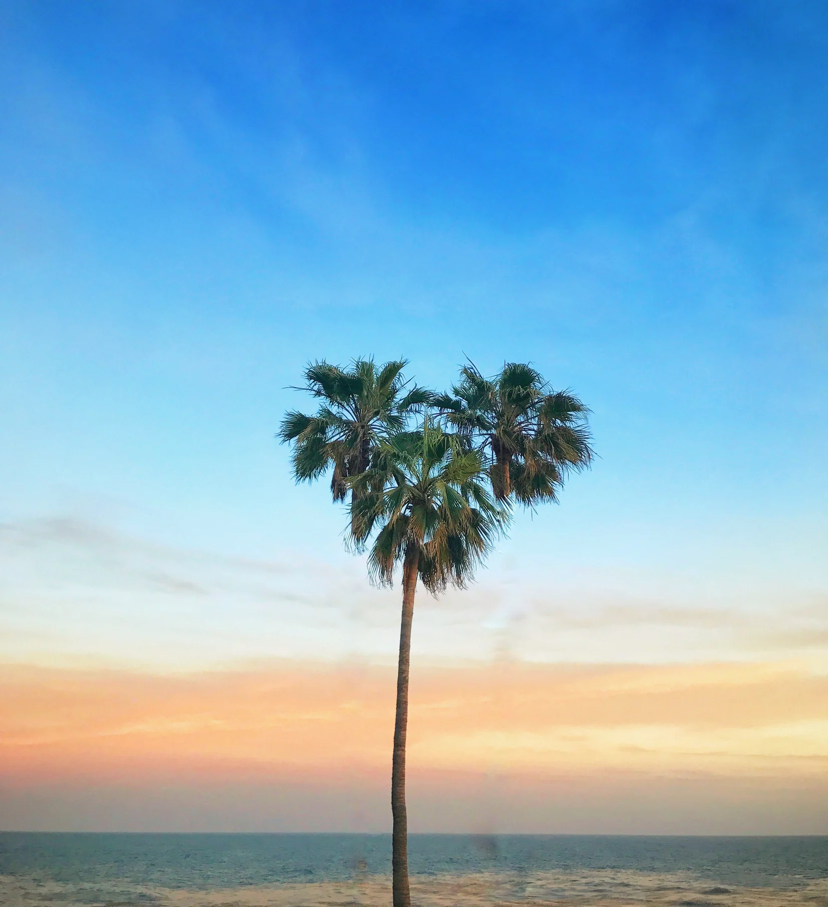 America’s richest beach towns