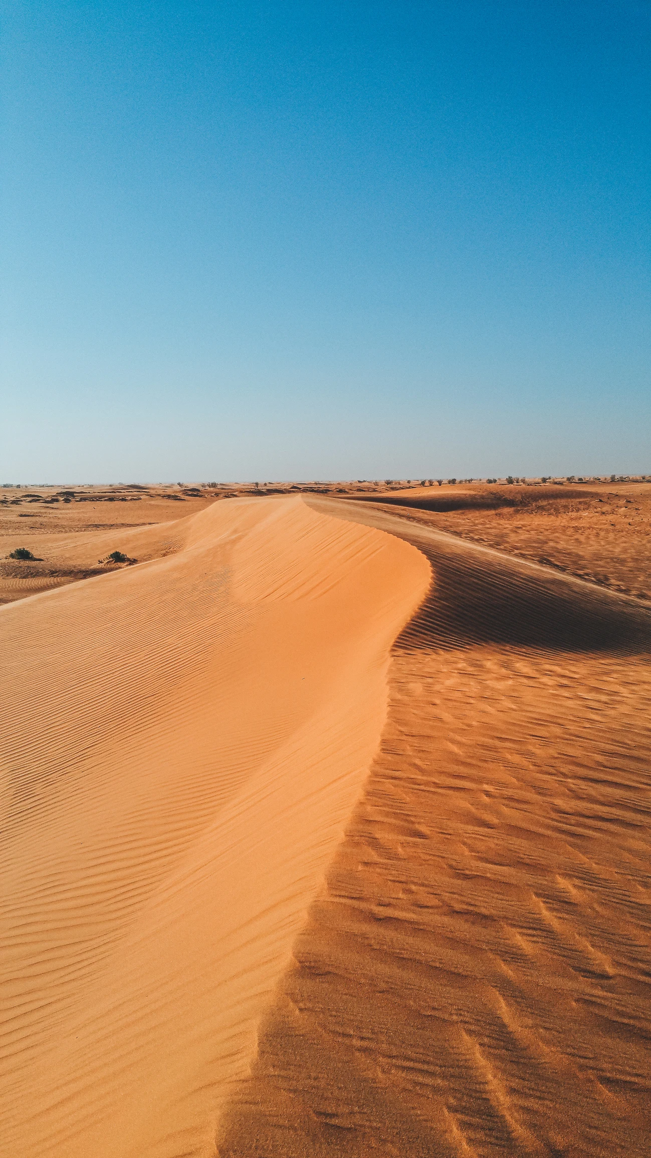 علماء يستخرجون الماء من هواء الصحاري القاحلة في السعودية