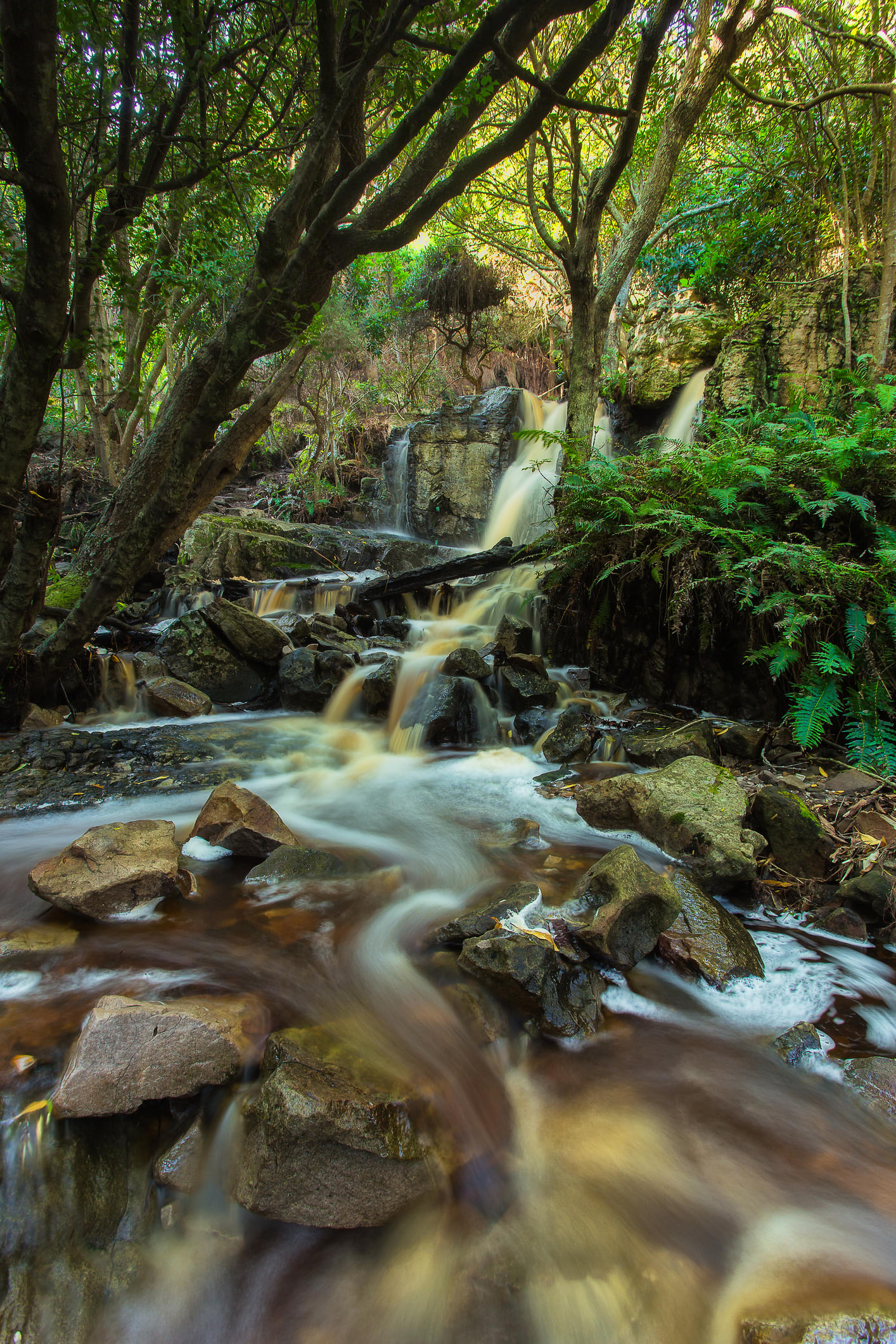 3 waterfall hikes to enjoy in and around Cape Town after it rains