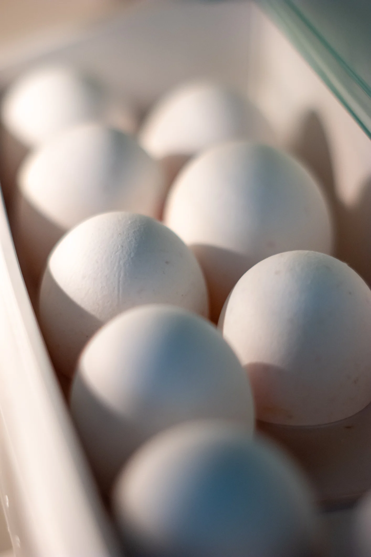 Pourquoi ne faut-il pas stocker les œufs dans la porte du frigo ?