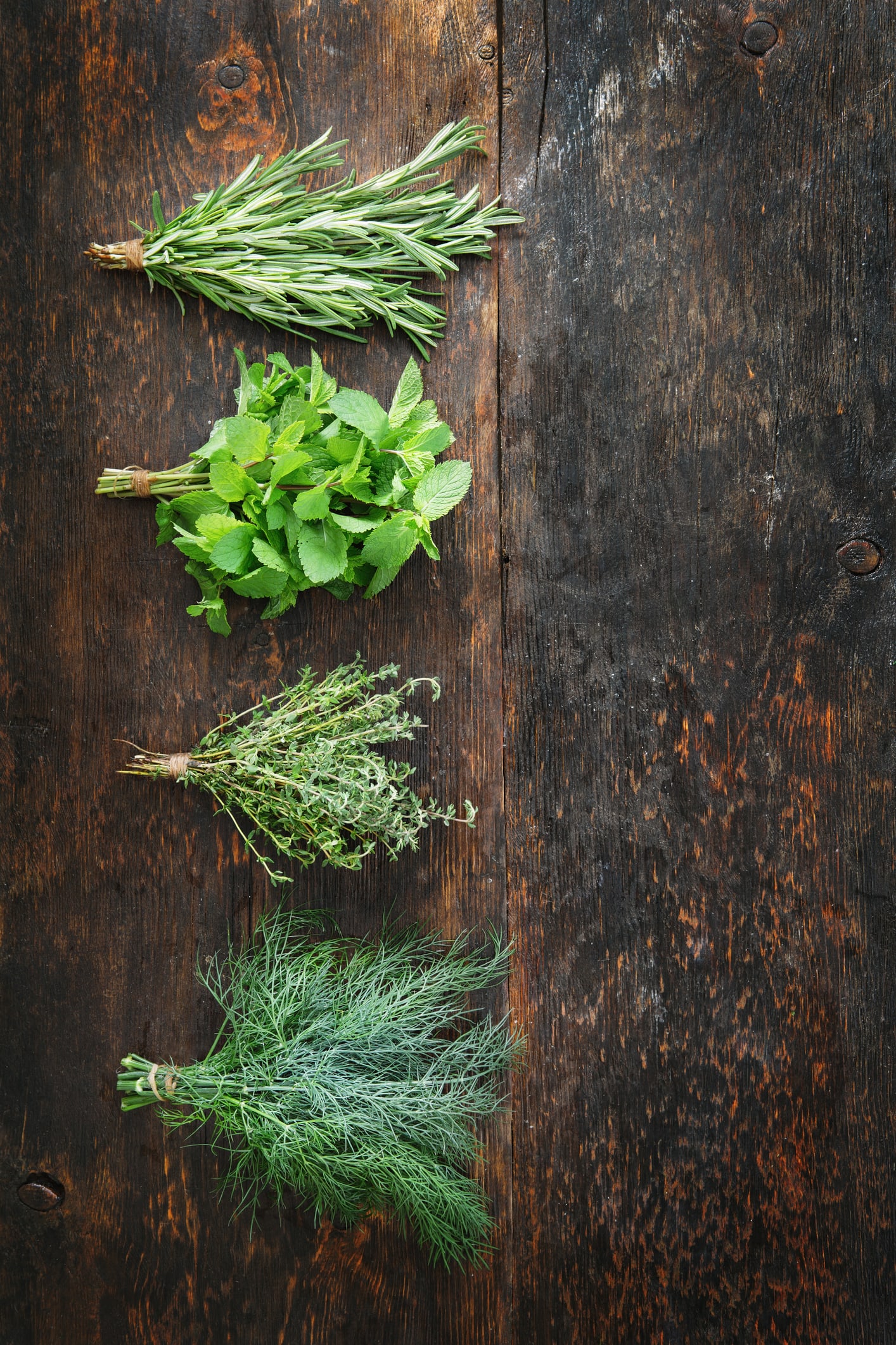 สมุนไพรหญ้า ยาดี บนดอยงาม บ้านสาแพะ เมืองลำปาง