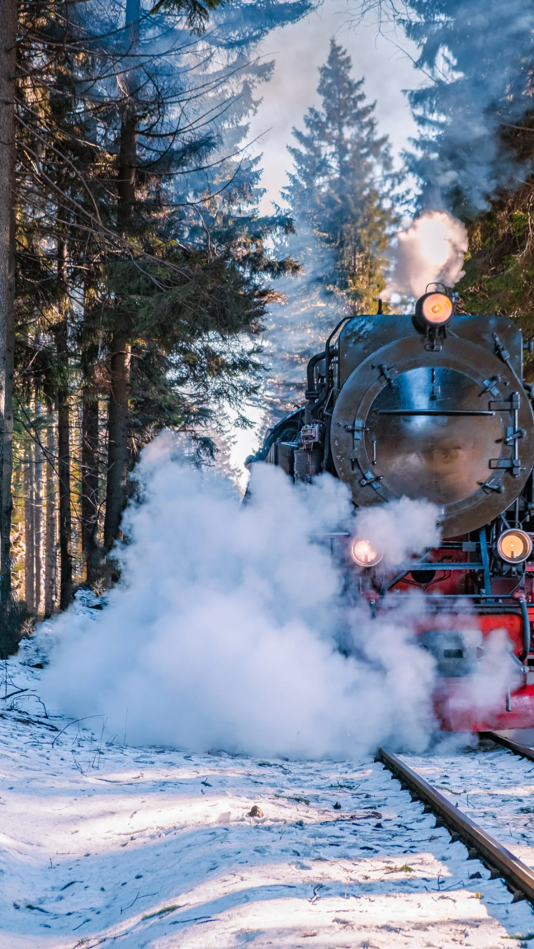 Ab nach Wernigerode: Wo ein Hauch von Hogwarts weht