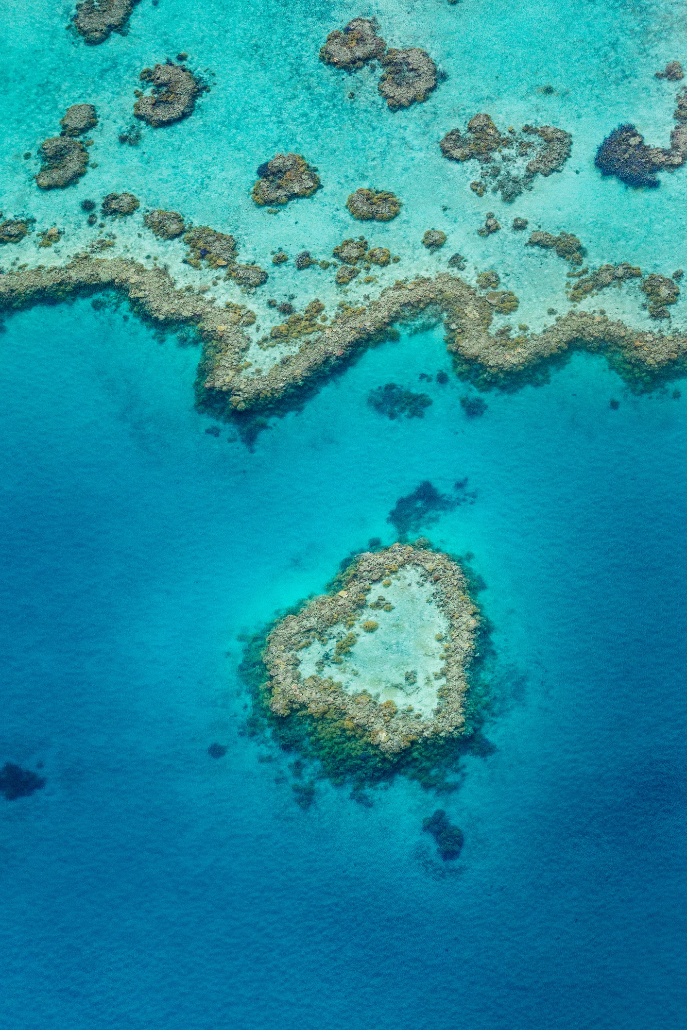 La grande barriera corallina sta morendo a causa nostra: mix di “integratori” per provare a salvarla