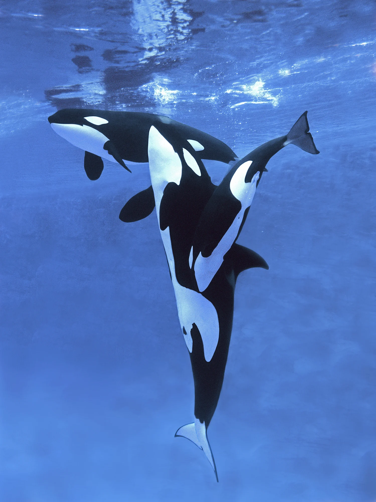 The pretty seaside town that’s only dark for 5 hours per day in peak summer