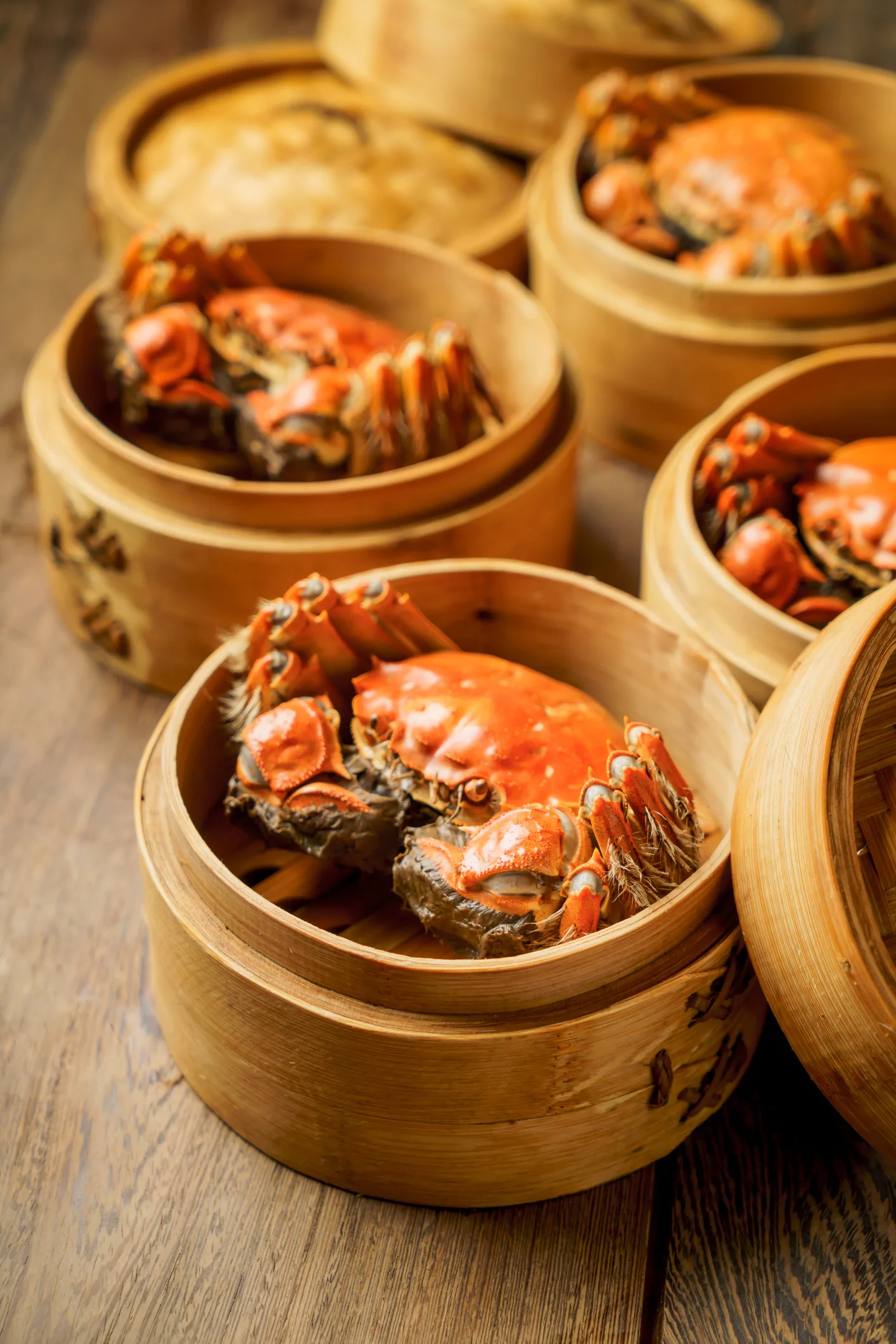 'Ông giáo' nuôi cua biển trong thùng nhựa