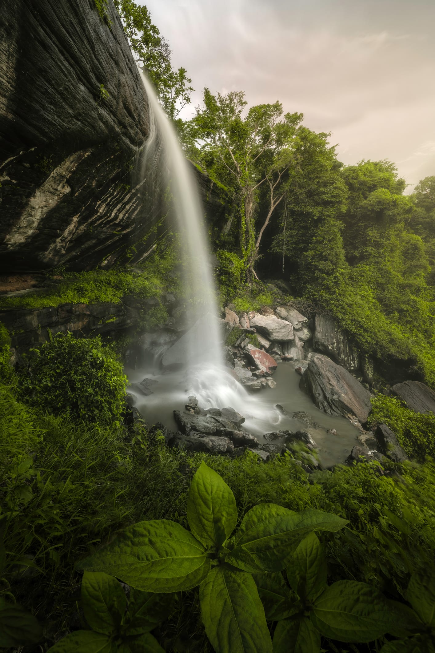 สัมผัสกรีนแลนด์เมืองไทย 