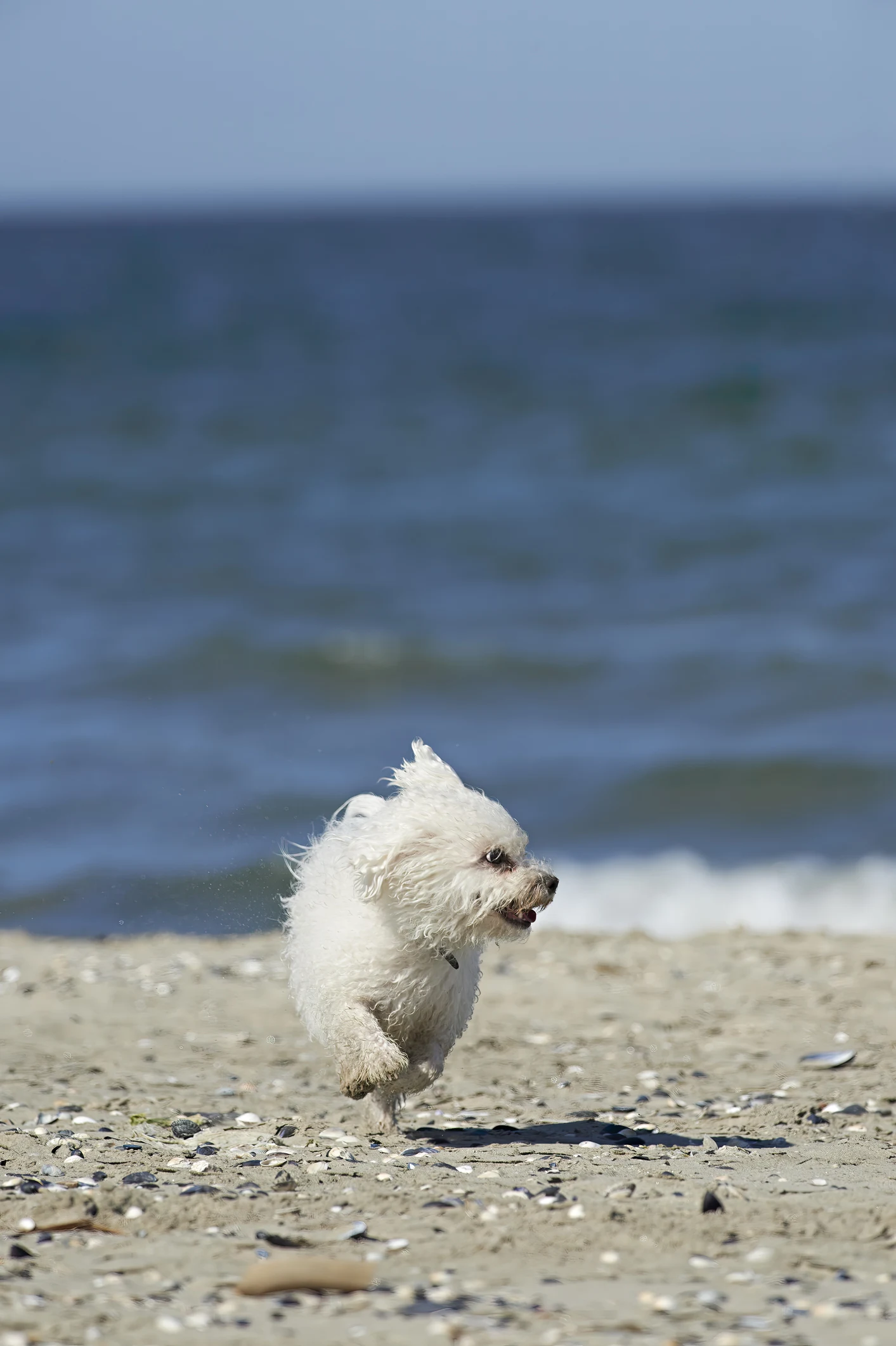 体を鍛える場所､ジムが向く人･向かない人の違い 初心者か中上級者か､目的に応じて違ってくる