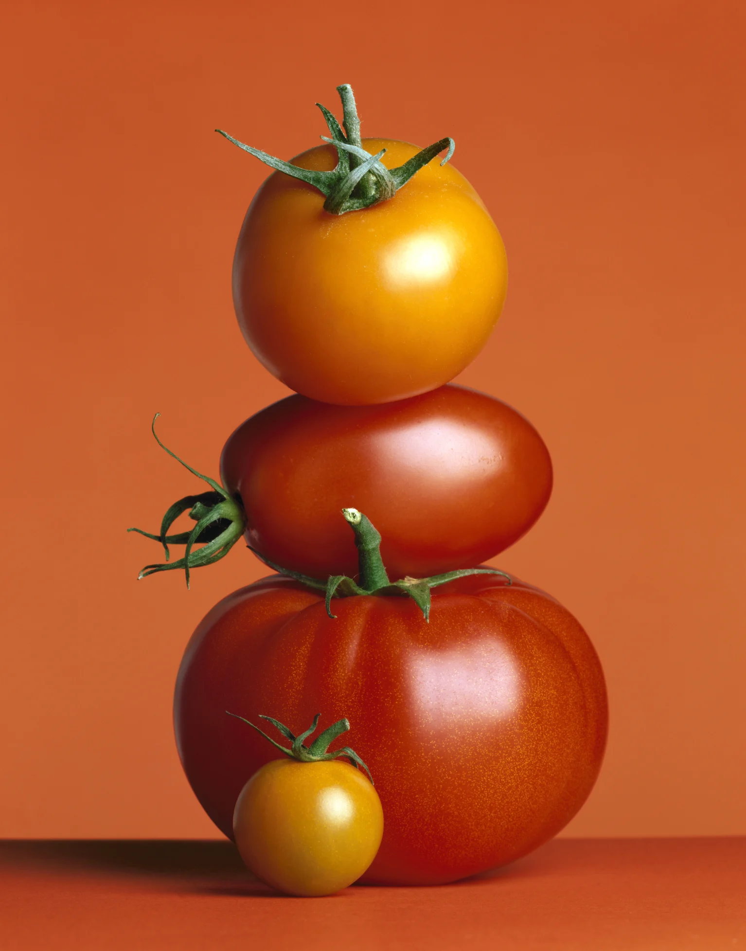 Simple garden trick will make your tomatoes grow bigger and faster