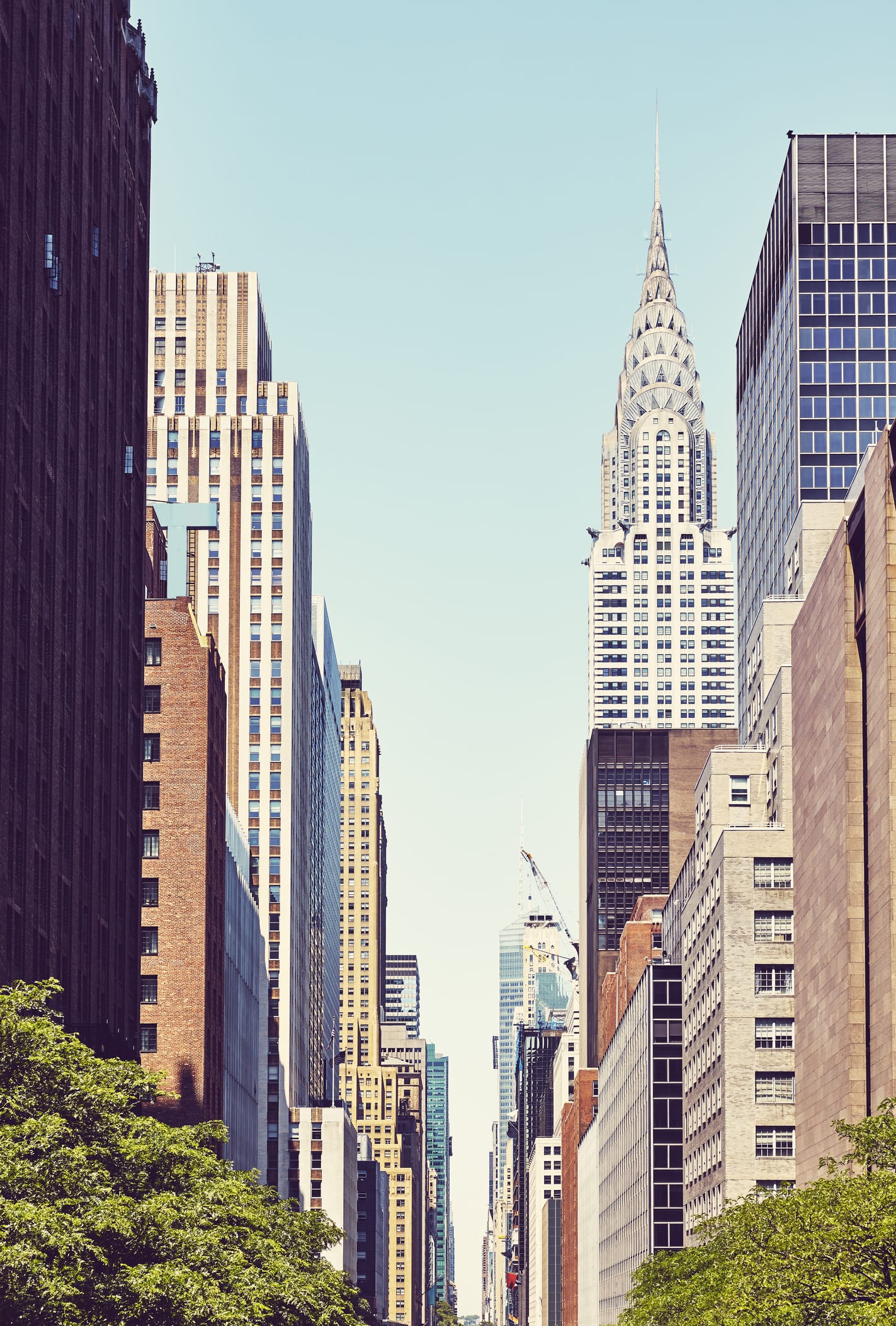 I'm a New Yorker who moved to the South for 2 years. Here are 6 reasons I'm ready to leave.