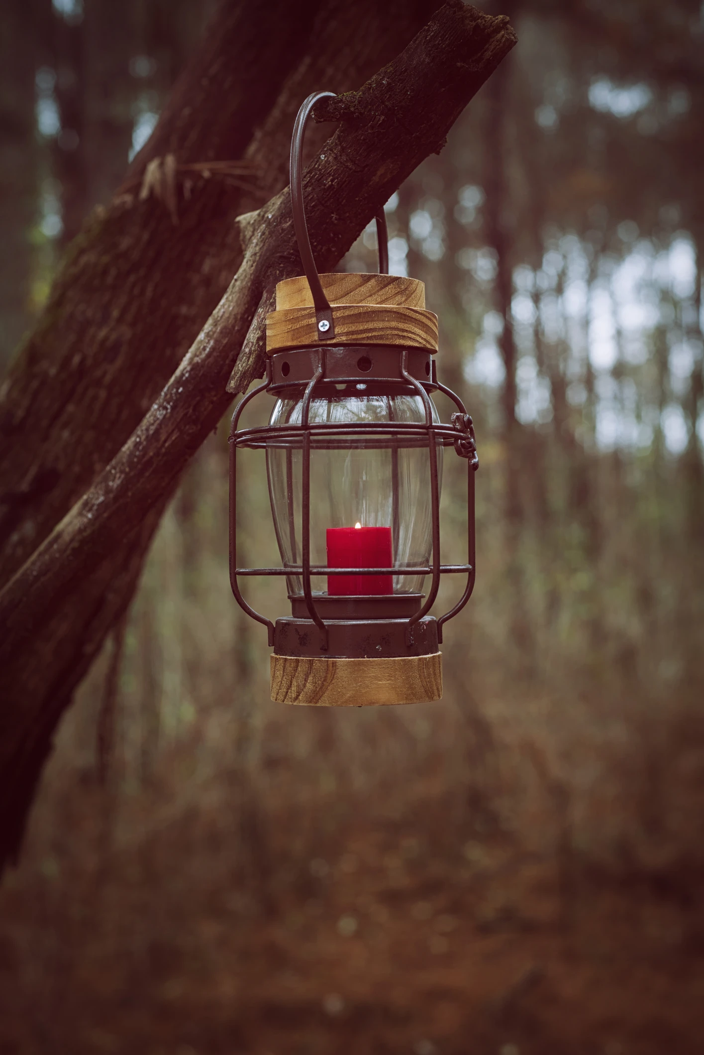 Yankee Candle just launched first outdoor candle collection