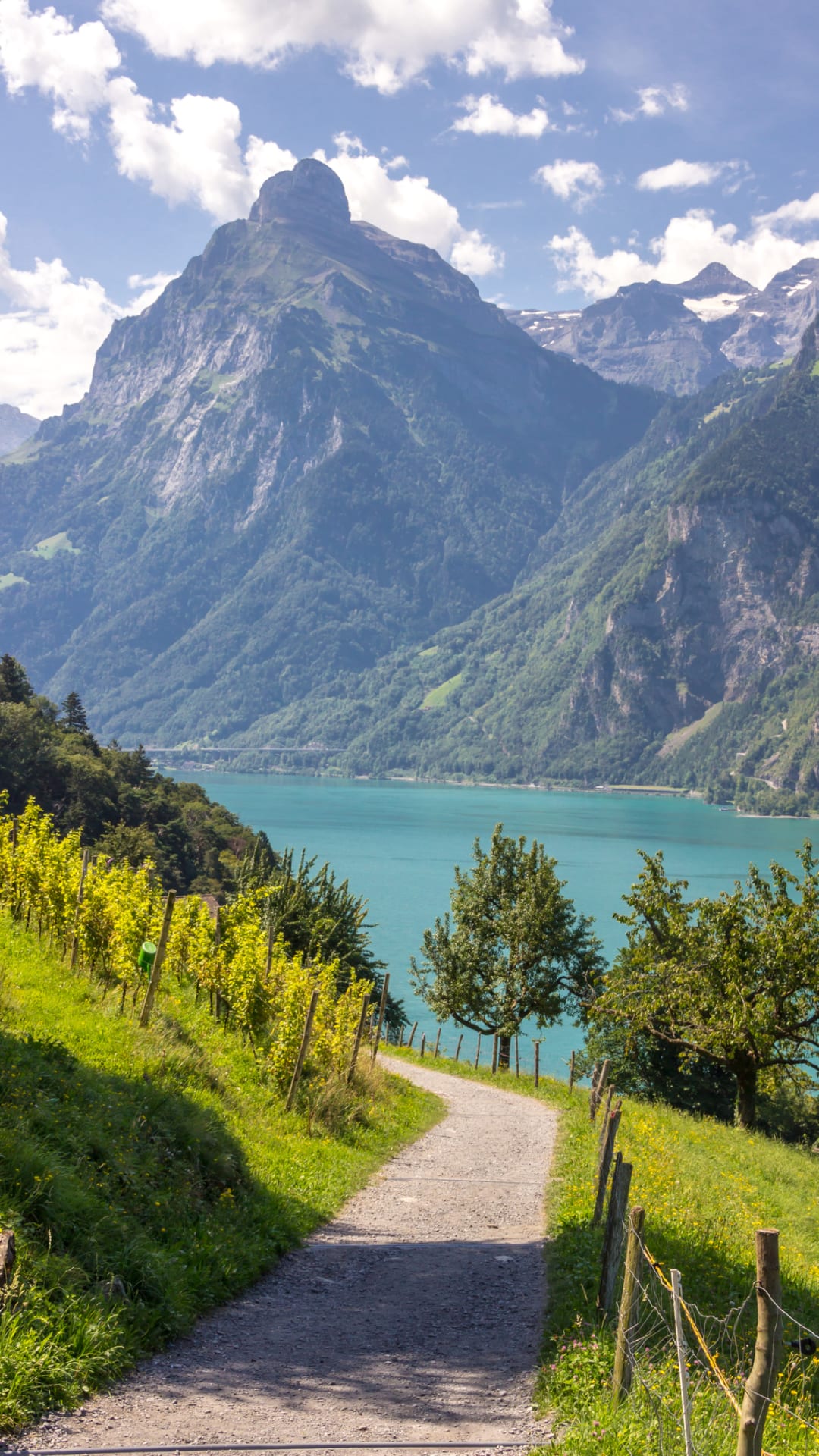 Una década de deshielo de glaciares deja en Suiza 180 nuevos lagos