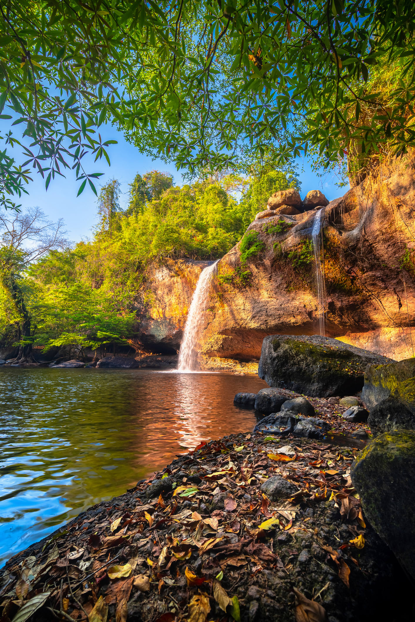 เปิดเส้นทางเดินป่า ชมธรรมชาติ’ผากล้วยไม้-น้ำตกเหวสุวัต’