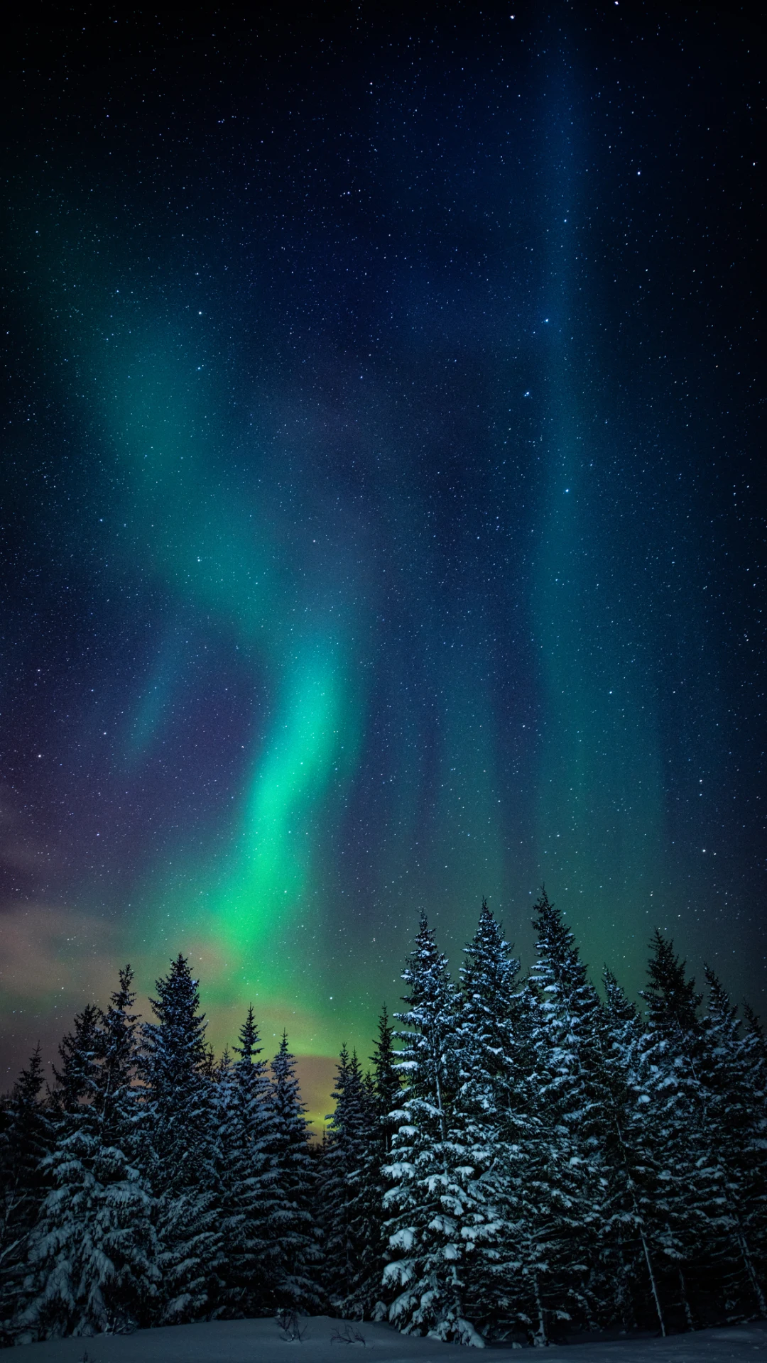 ¡Magia en el cielo! Guía para ver auroras boreales