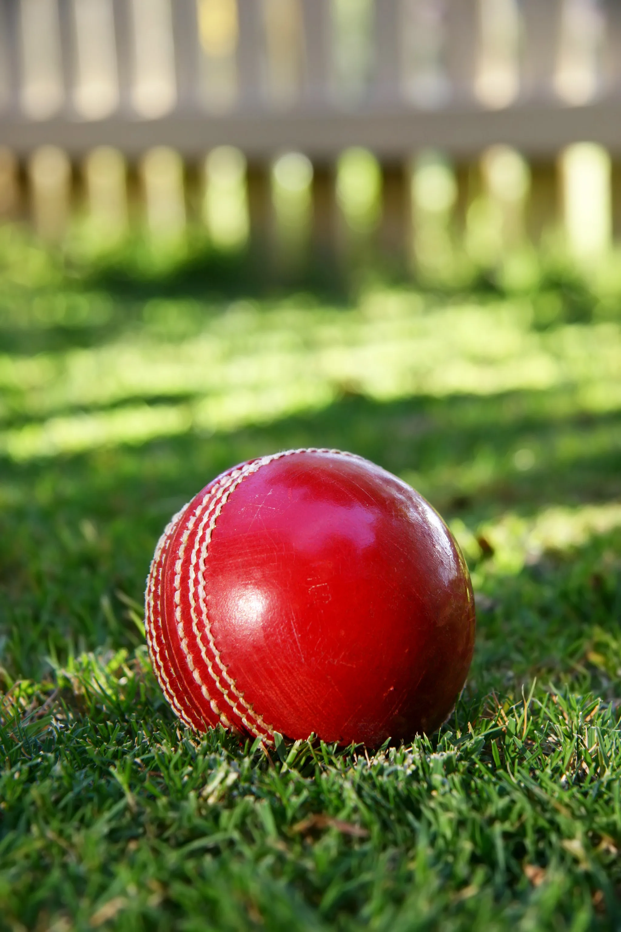Aussie batter Chris Lynn smashes a massive six into someone's backyard