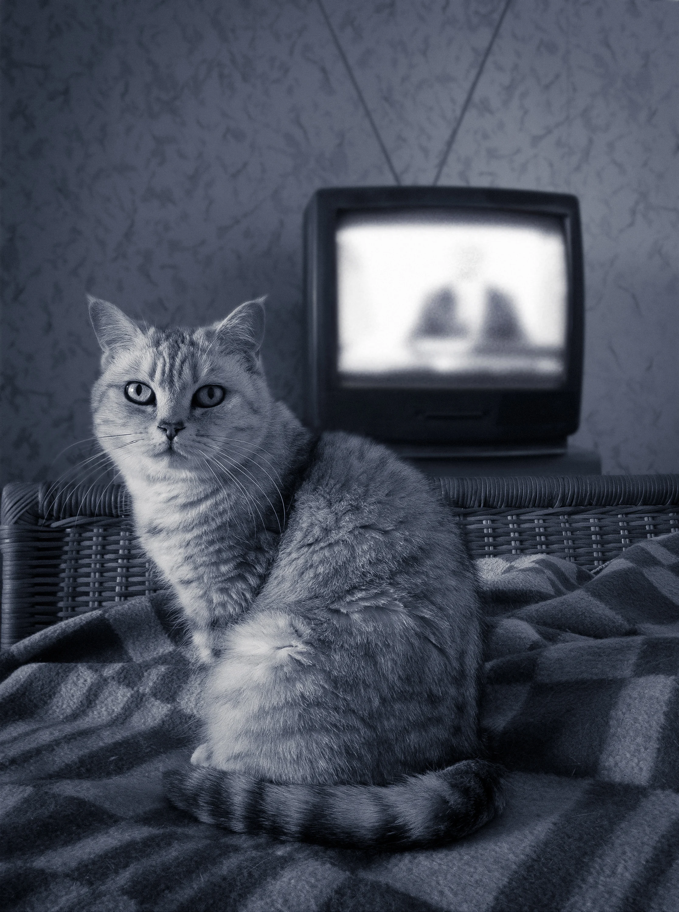 The psychology of why it takes you so long to decide what to watch on TV