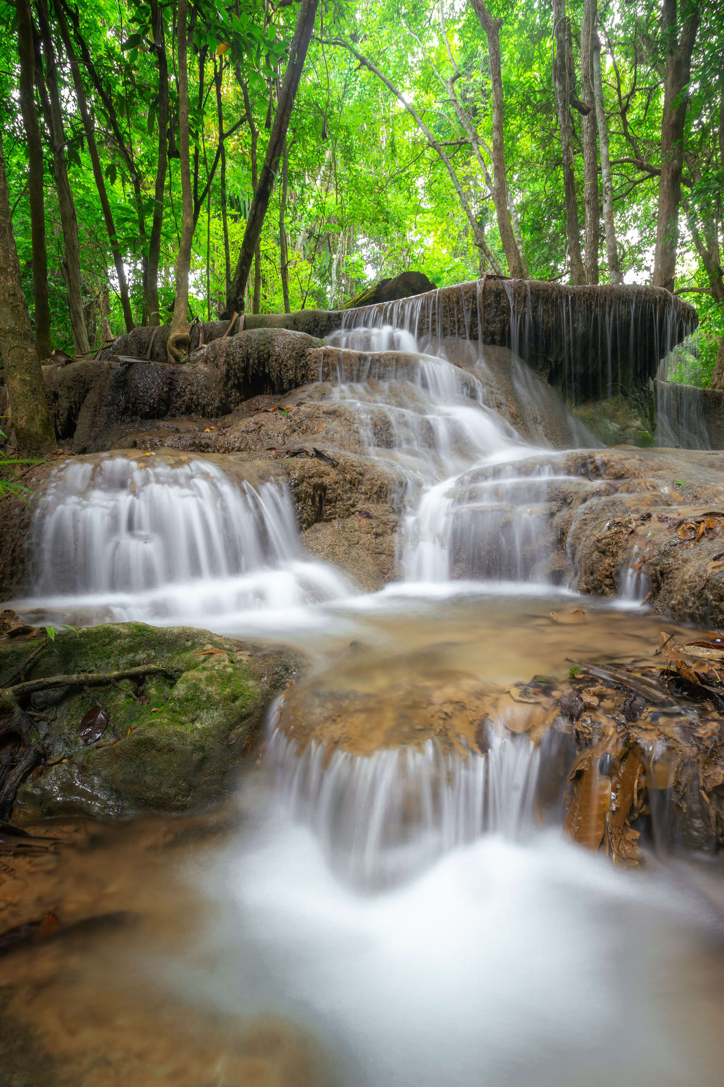 เช็ค “5 สิ่งของต้องห้าม” นำเข้าอุทยานแห่งชาติทั่วประเทศ ฝ่าฝืนปรับไม่เกินหนึ่งแสนบาท
