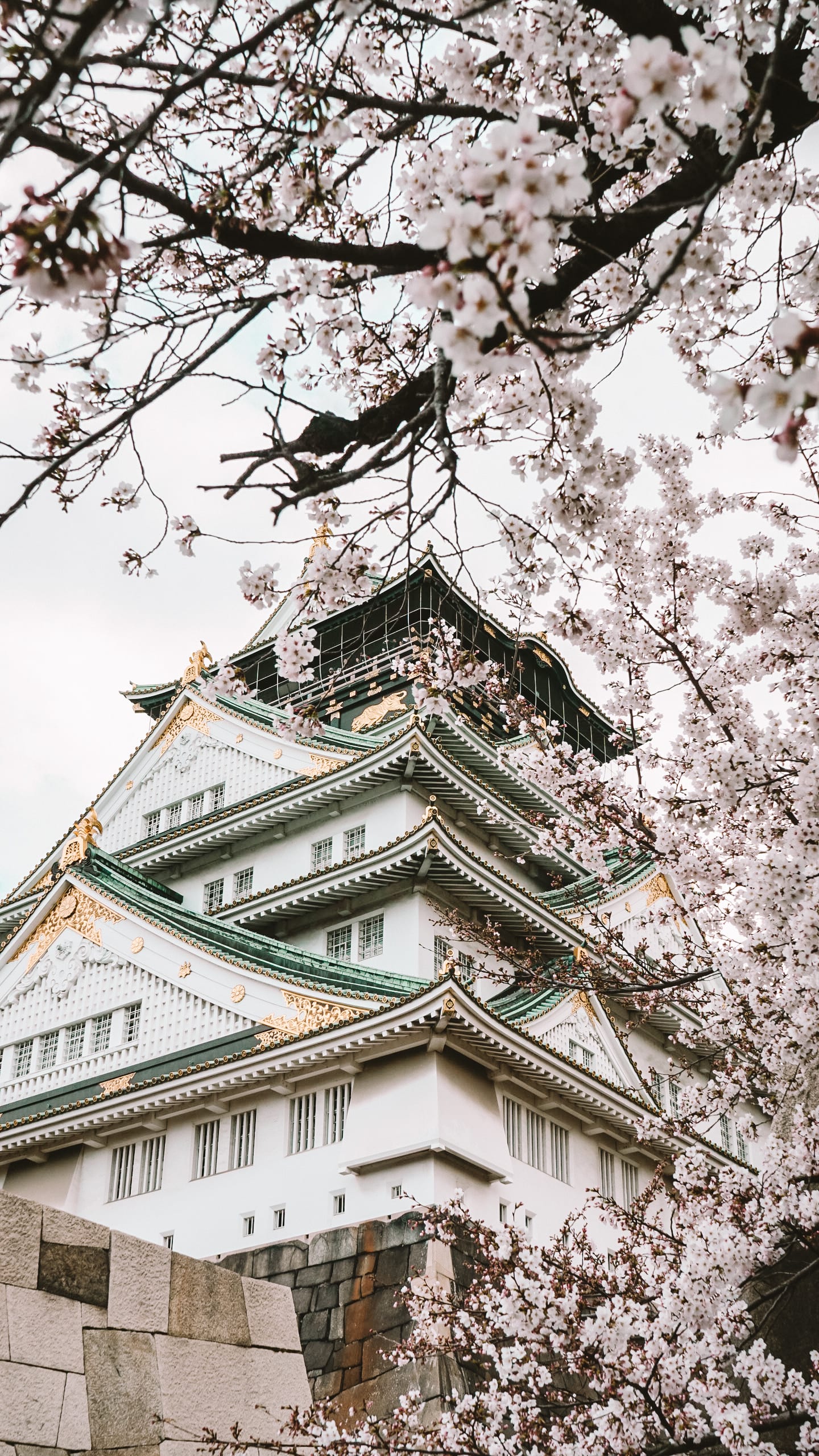 悲劇の姫、大姫を後鳥羽天皇に入内させようとした頼朝の本当の意図