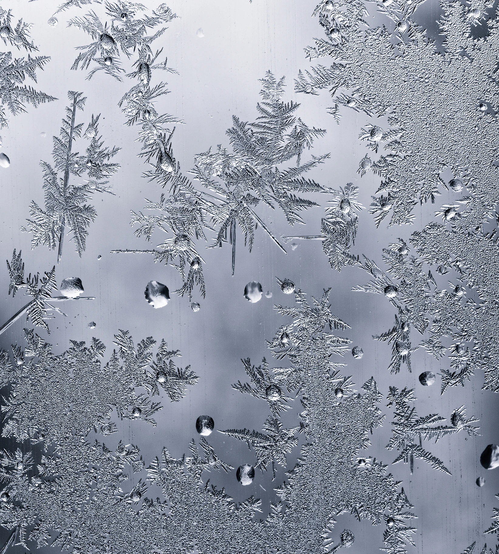 ‘Very strong’: States set to freeze