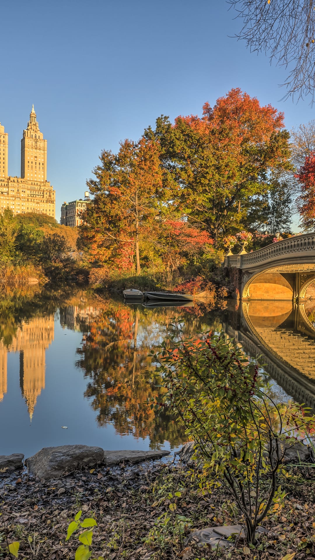 Nueva York increíble: recupera fauna salvaje, desde águilas hasta zorros