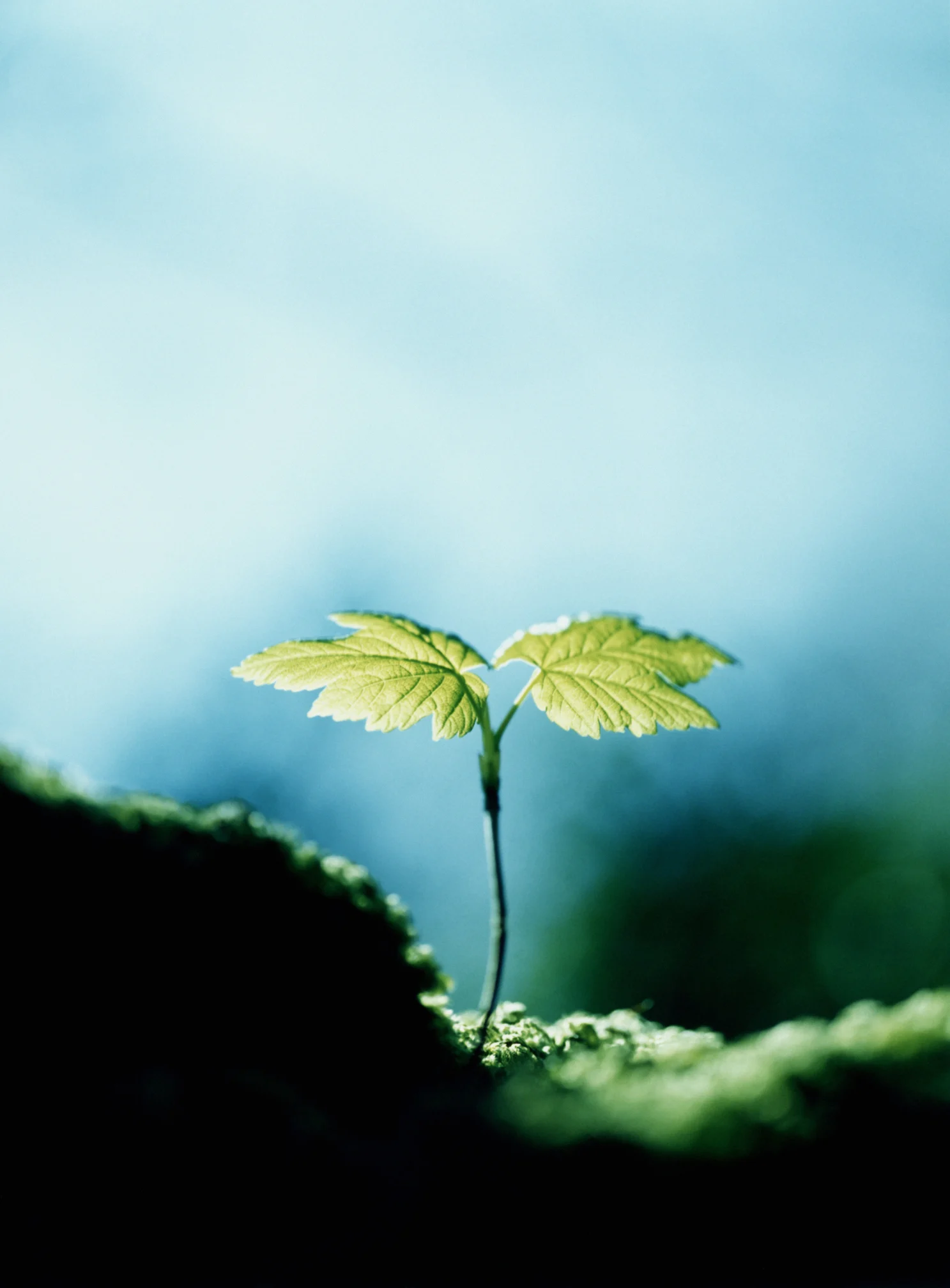 先生が「やりがい」感じるとき、2位は「児童・生徒の笑顔を見たとき」、では1位は？　教員2000人調査