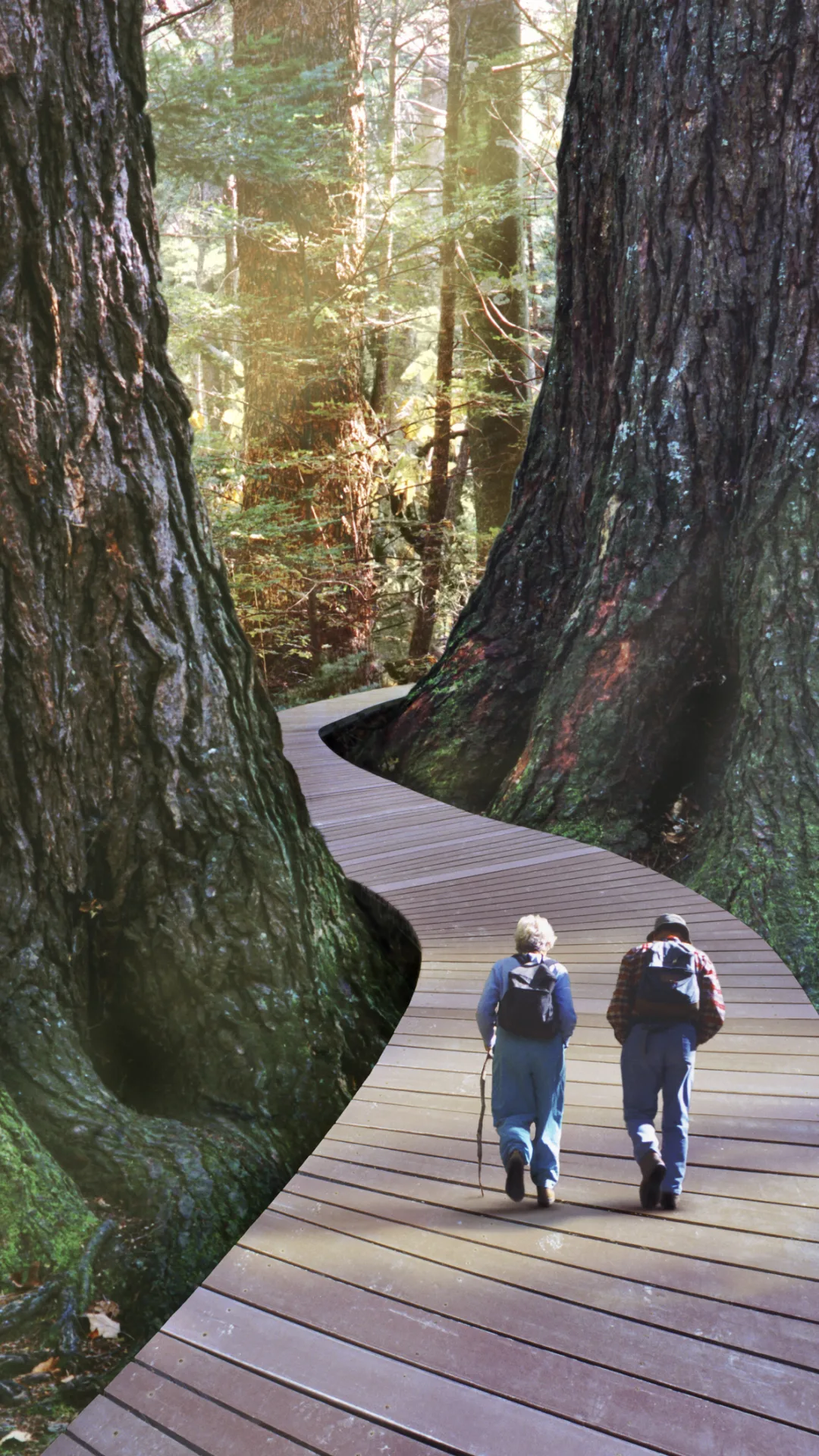 Going for walks could prevent early death caused by lack of sleep, says study