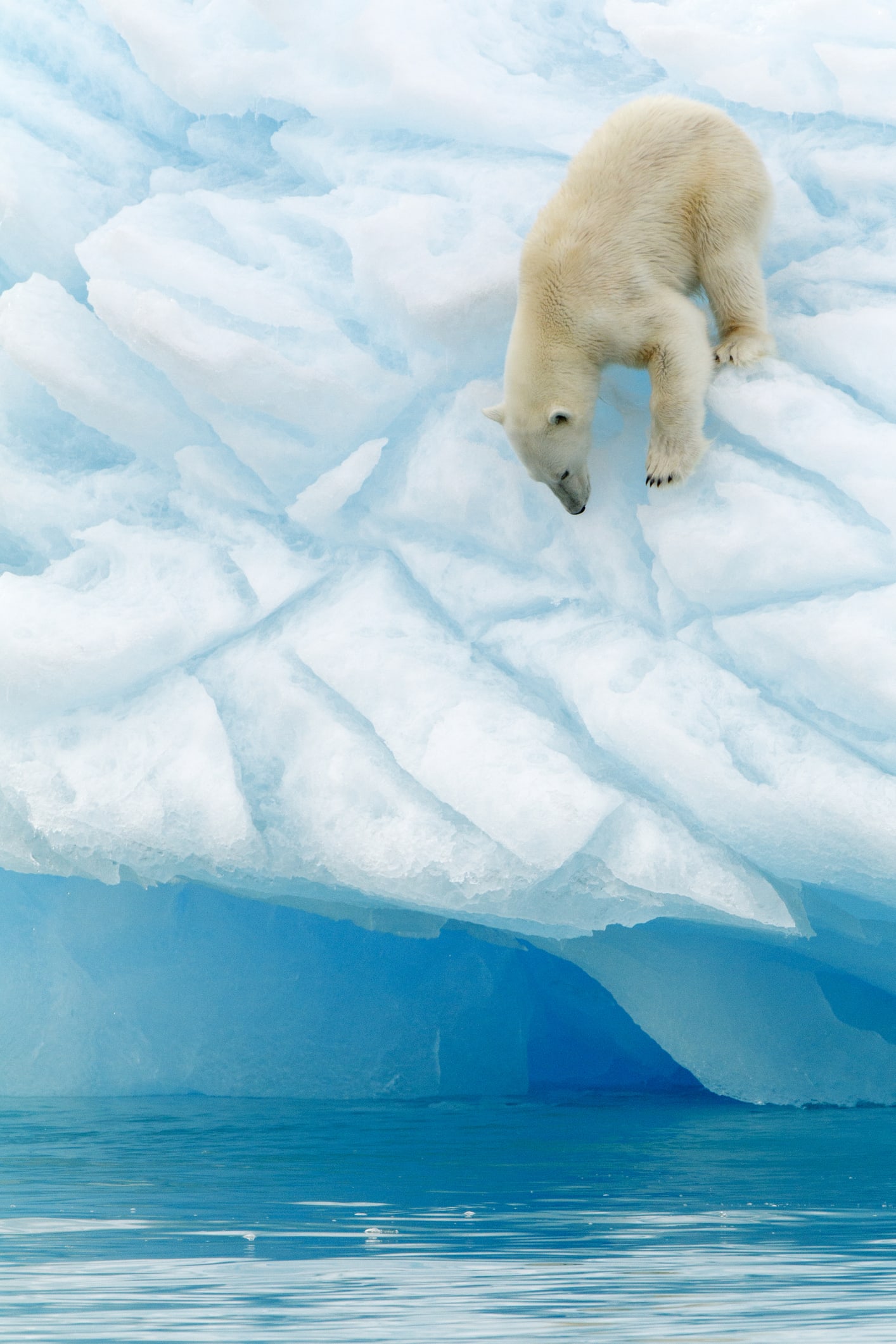 L’estate torrida colpisce anche l’Artico: i 15°C registrati a maggio 2022 sono un grosso problema