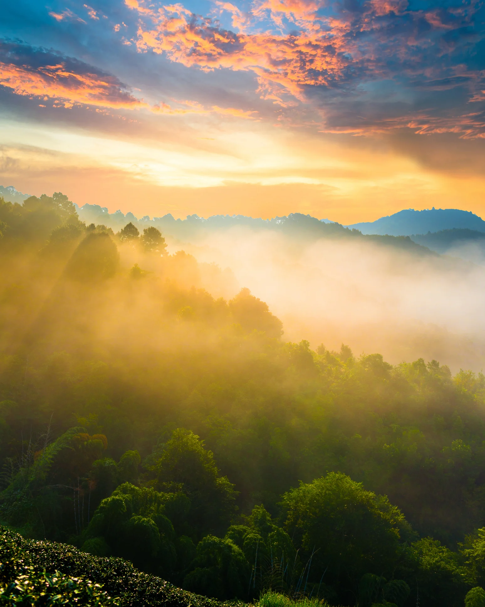 สวยจับใจ 