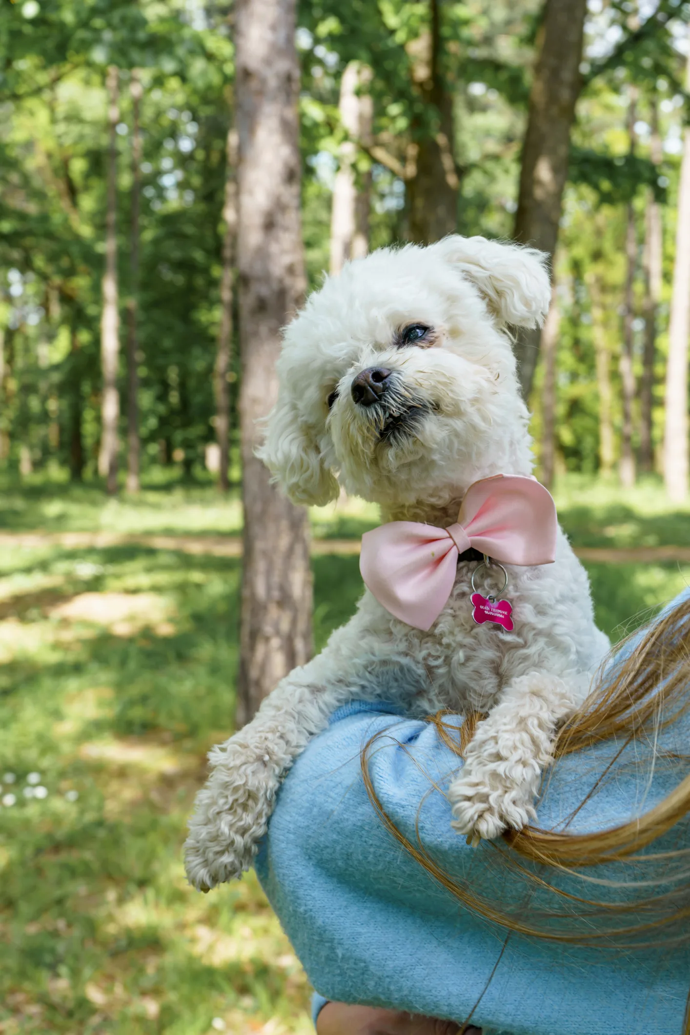 Playlist featuring Bob Marley promises to relax pets in the car