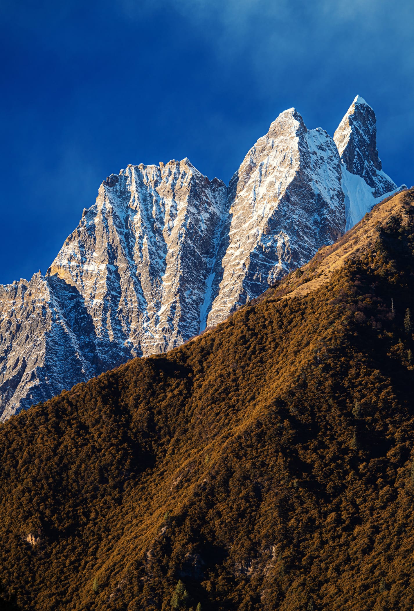 Scoperte mille specie di microbi nei ghiacciai del Tibet: l’82 percento è sconosciuta