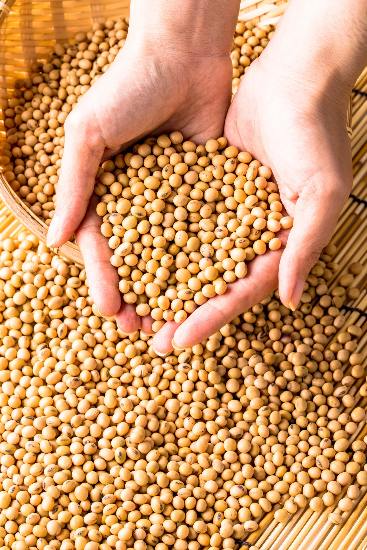 Soja: cómo consumirla saludablemente