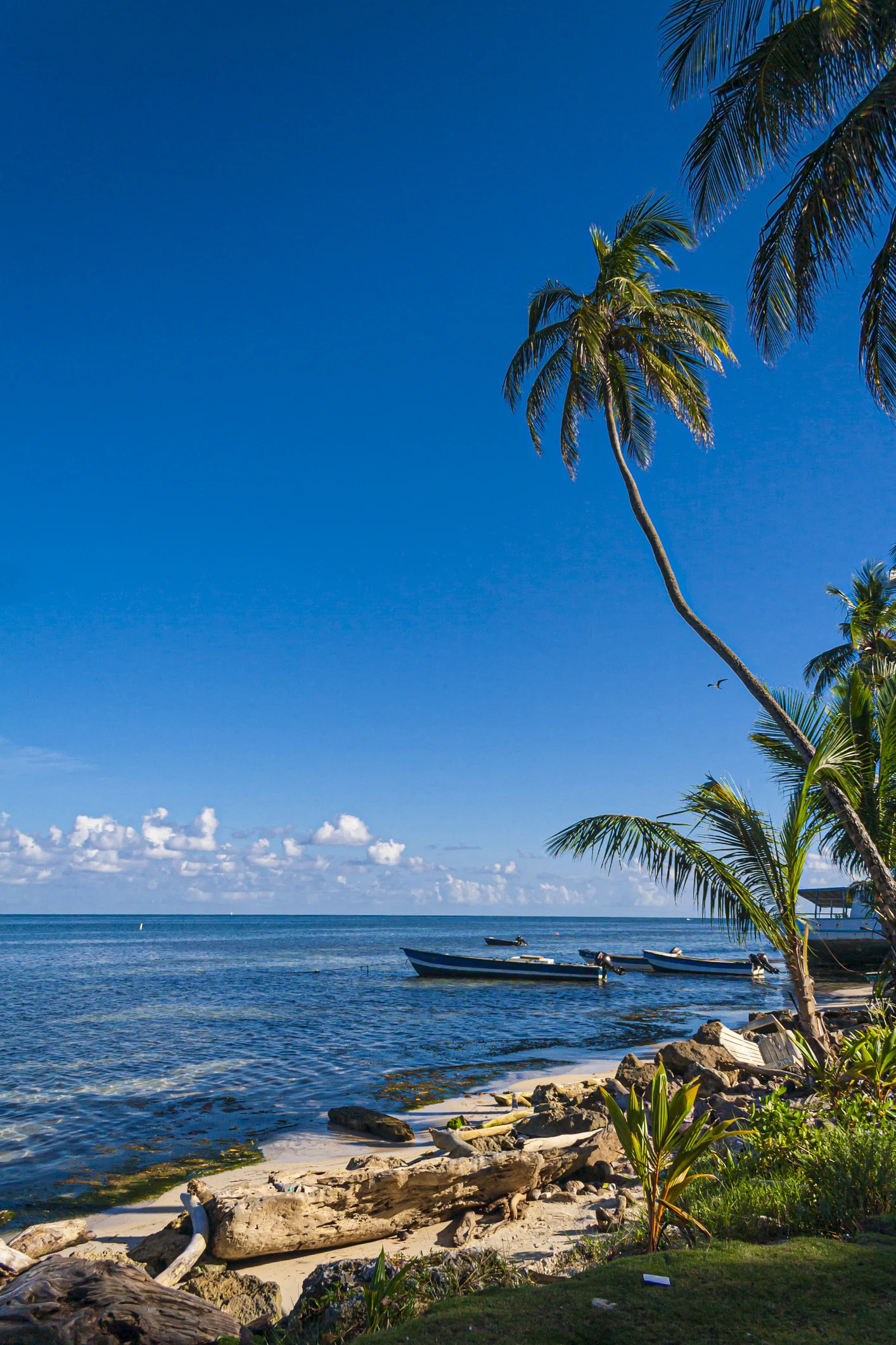 The places Britons most want to visit for an autumn getaway revealed by Tripadvisor: Colombia is the No1 trending destination followed by Mykonos, Crete and Turkey 