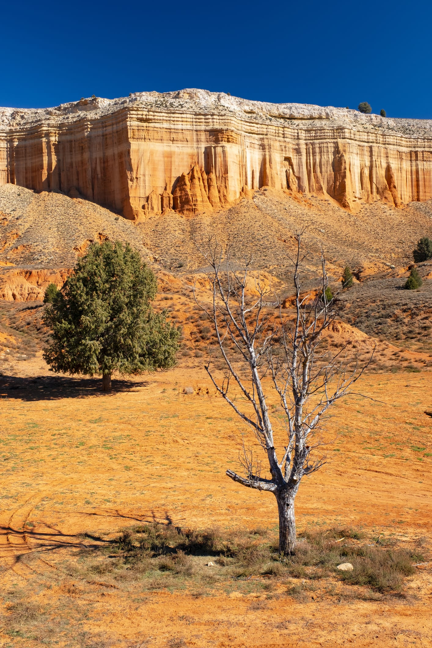 El Cañón del Colorado español: descubre un paisaje único en la Rambla de Barrachina
