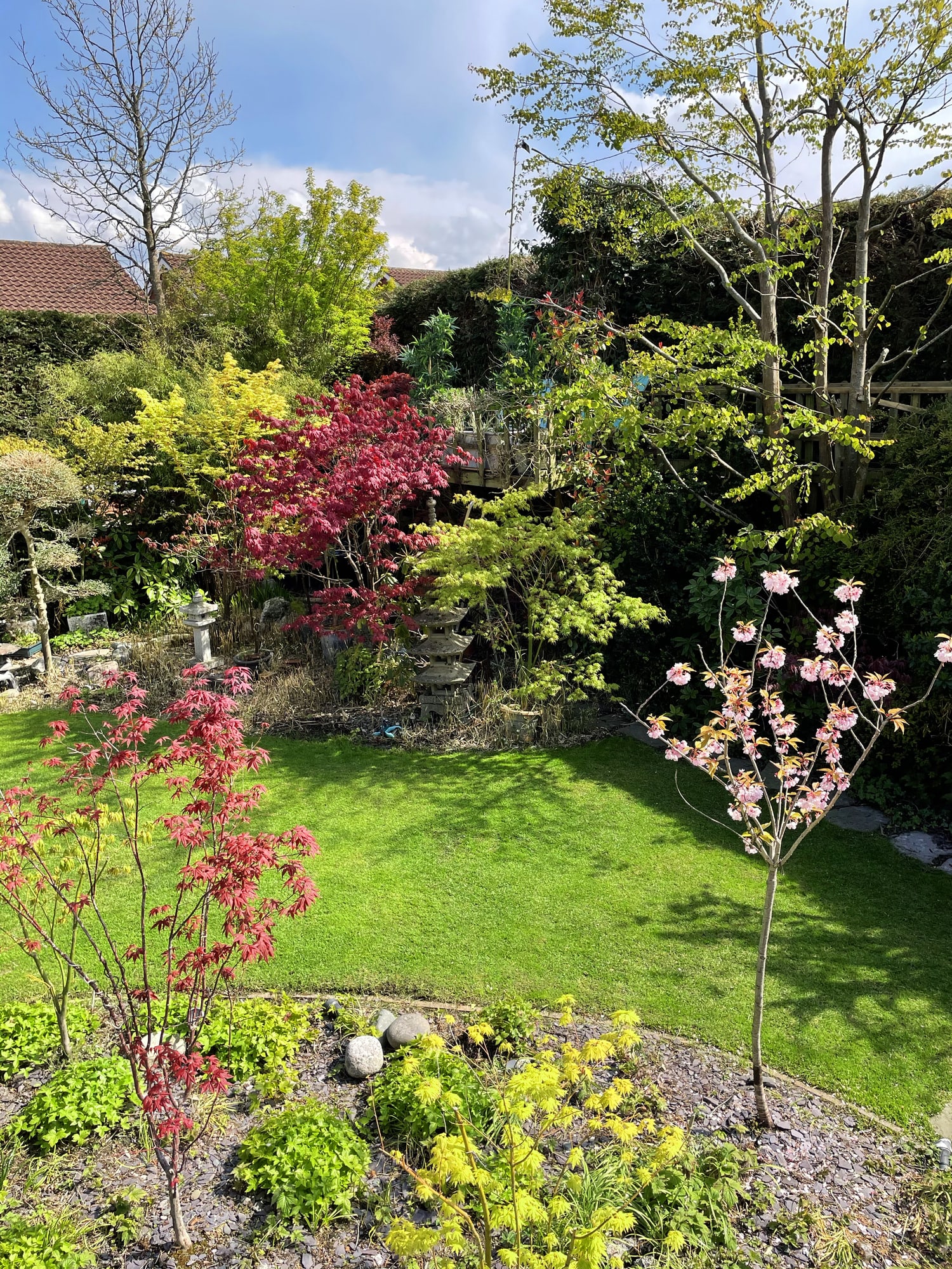 JANE FRYER frolics at garden designed to mark Platinum Jubilee