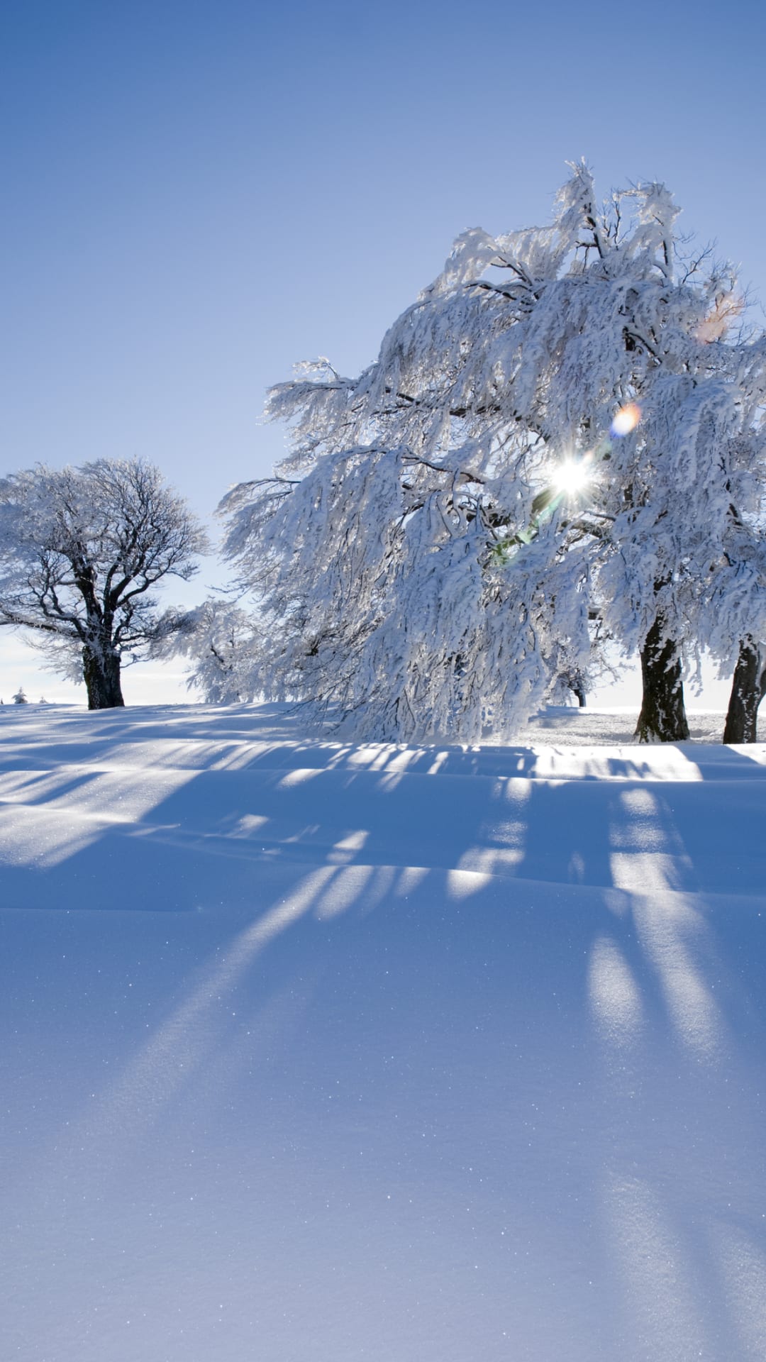 Wife defends husband after he was blasted for sharing photo of her shovelling snow