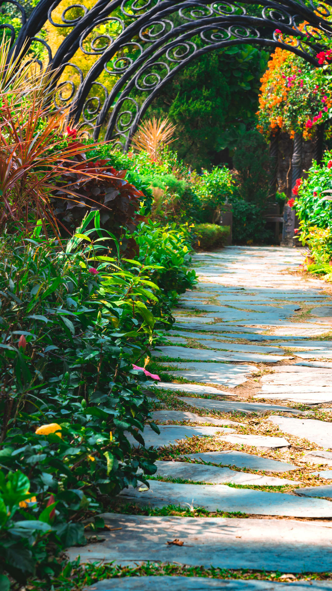 Cuida tu hogar y el jardín de las ratas con estas claves