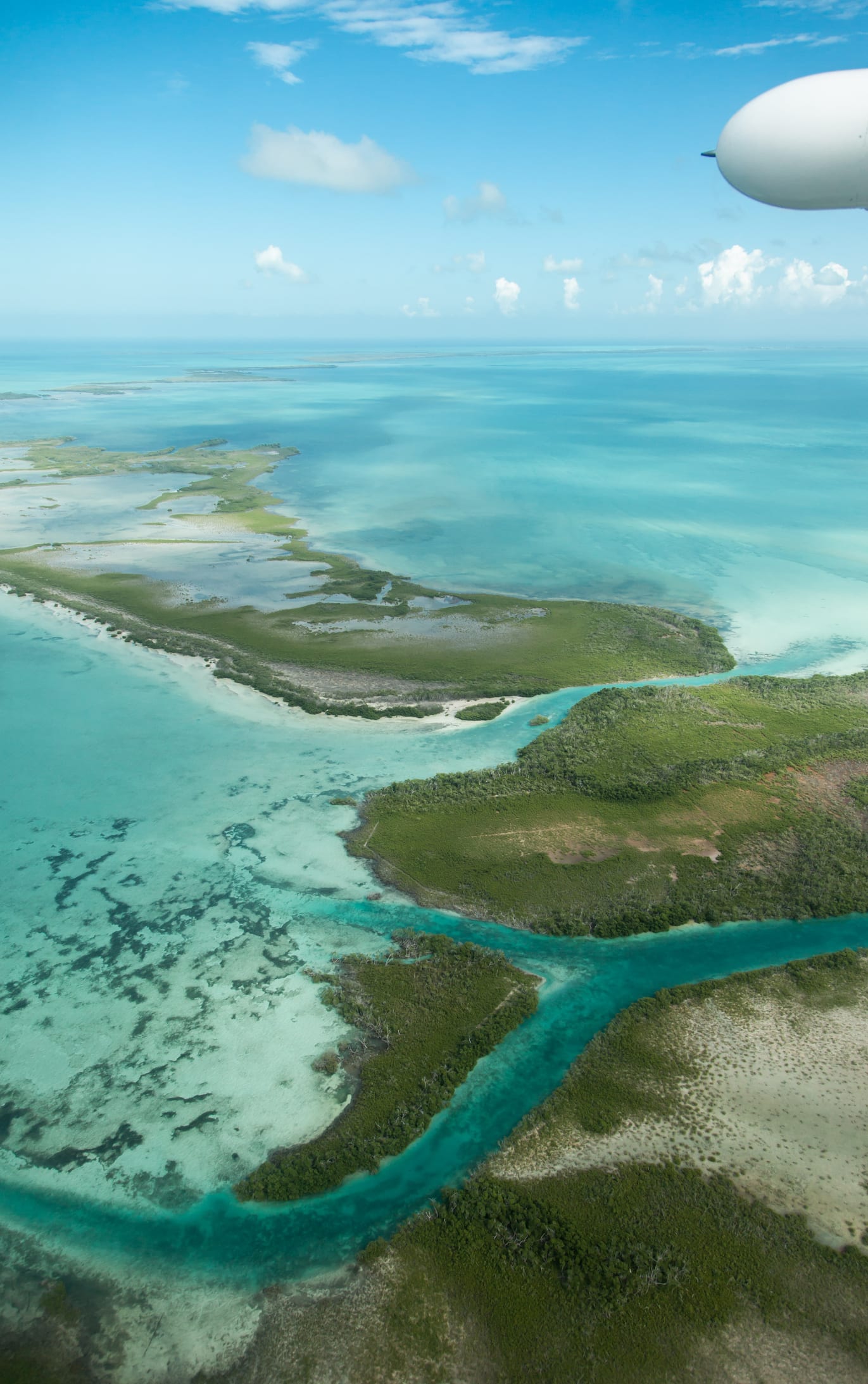 They bought a Caribbean island to start their own country