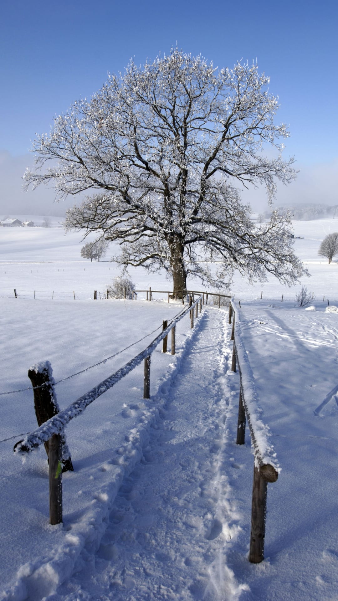 71-Year-Old Man's Method For Shoveling Snow Teaches People A Few New Tricks