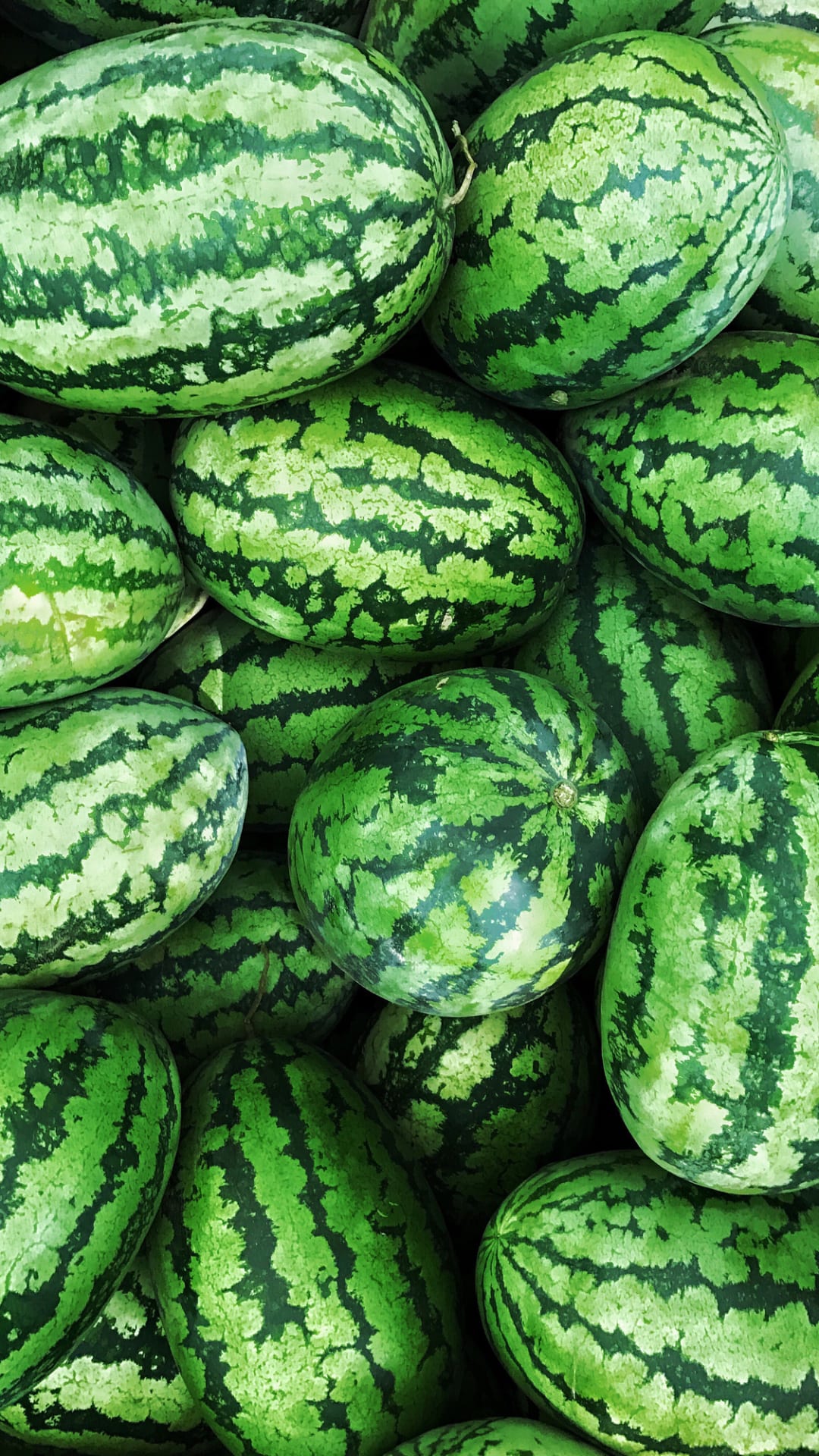 What?! Darum solltest du die Schale der Wassermelone mitessen