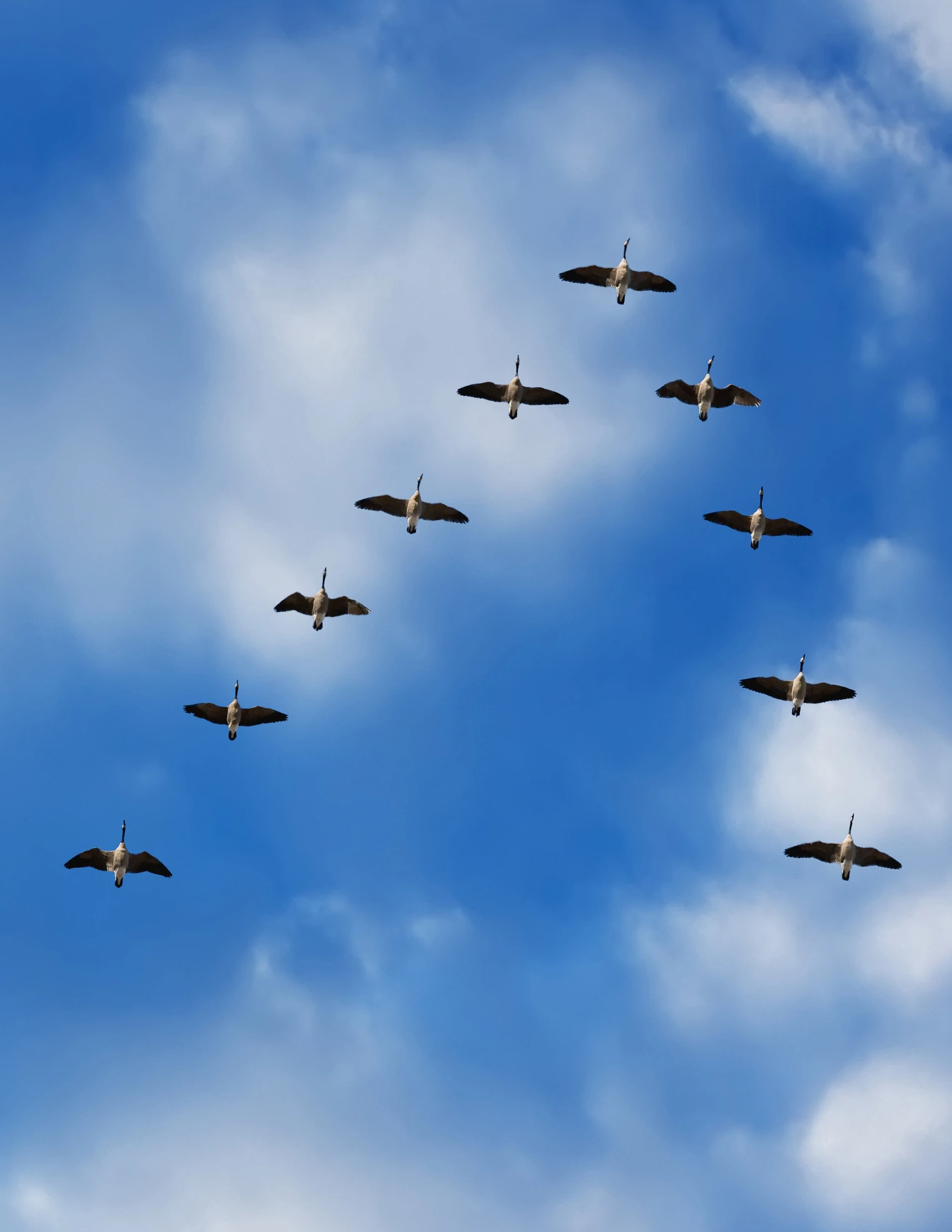 Kleiner Überflieger: 20 besondere Babynamen, die 