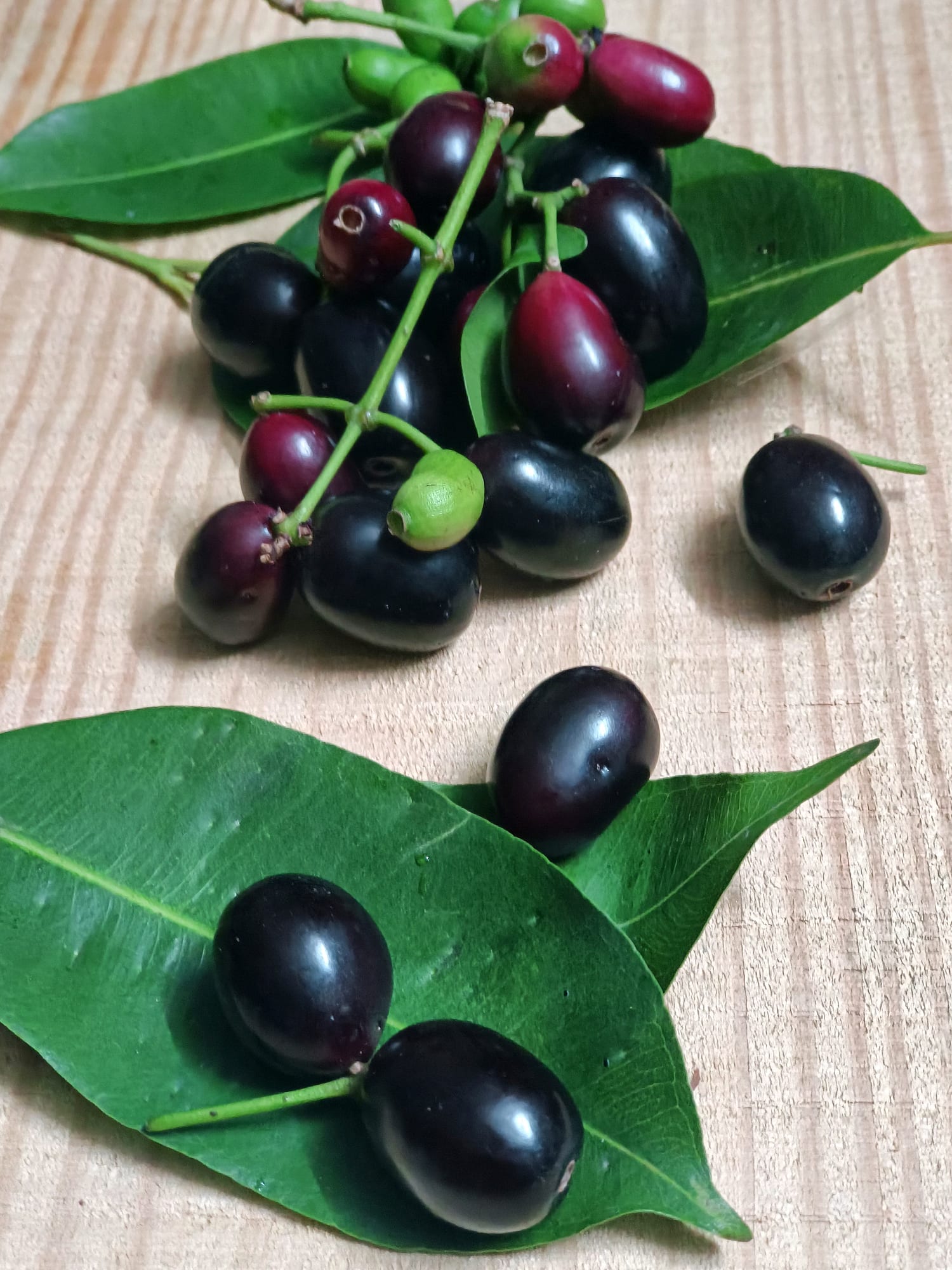 ¿Quieres adelgazar? Esta es la FRUTA que te ayuda a bajar de peso, según la OMS