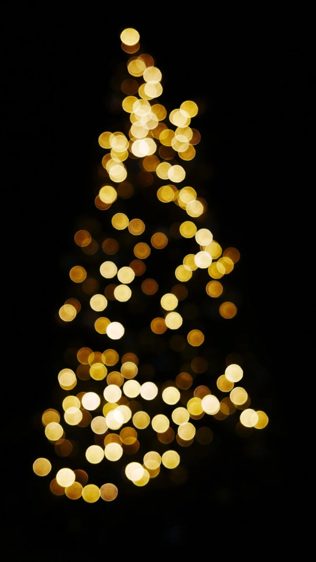 Neighbour reports man’s Christmas lights