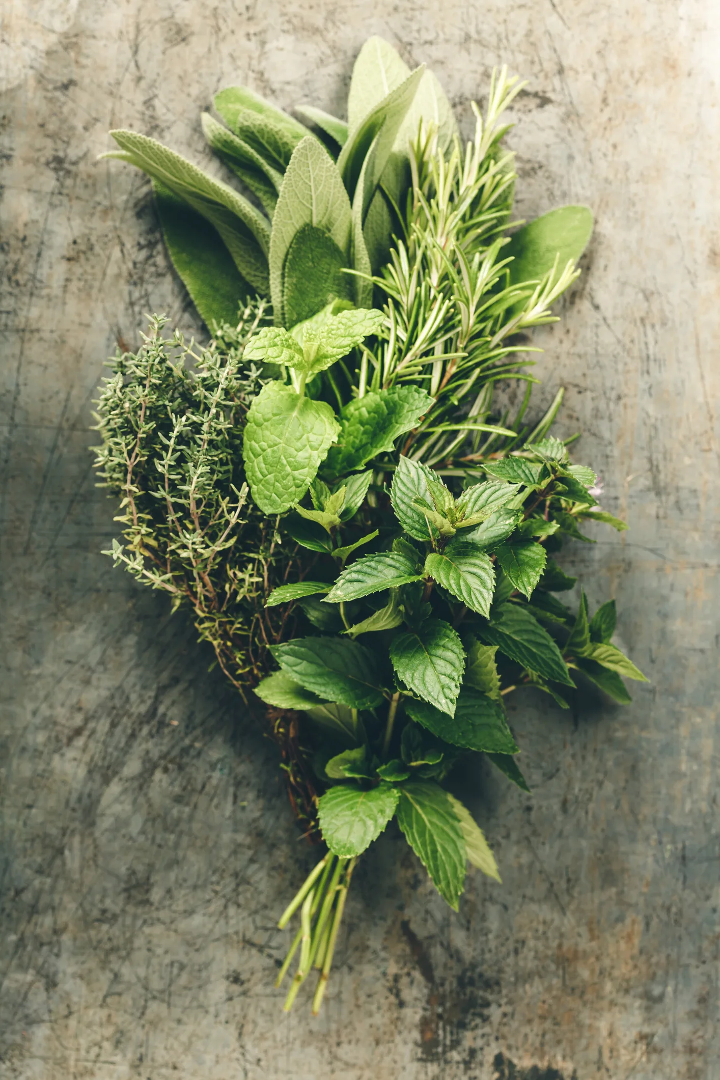 ทำความรู้จักกับ “แพทย์ทางเลือก คณะแพทยศาสตร์โรงพยาบาลรามาธิบดี” ตอน 2