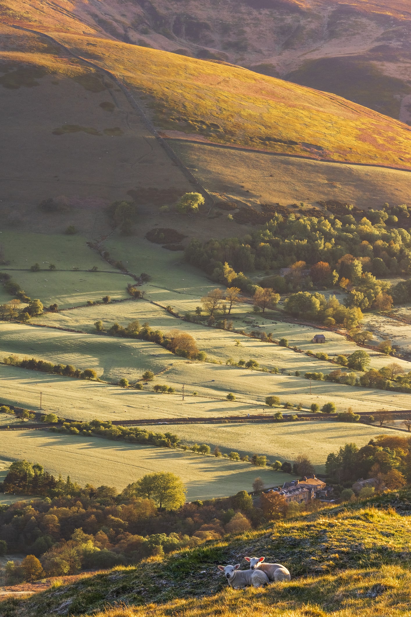 Couple save thousands by ditching London and travelling the UK in a minibus