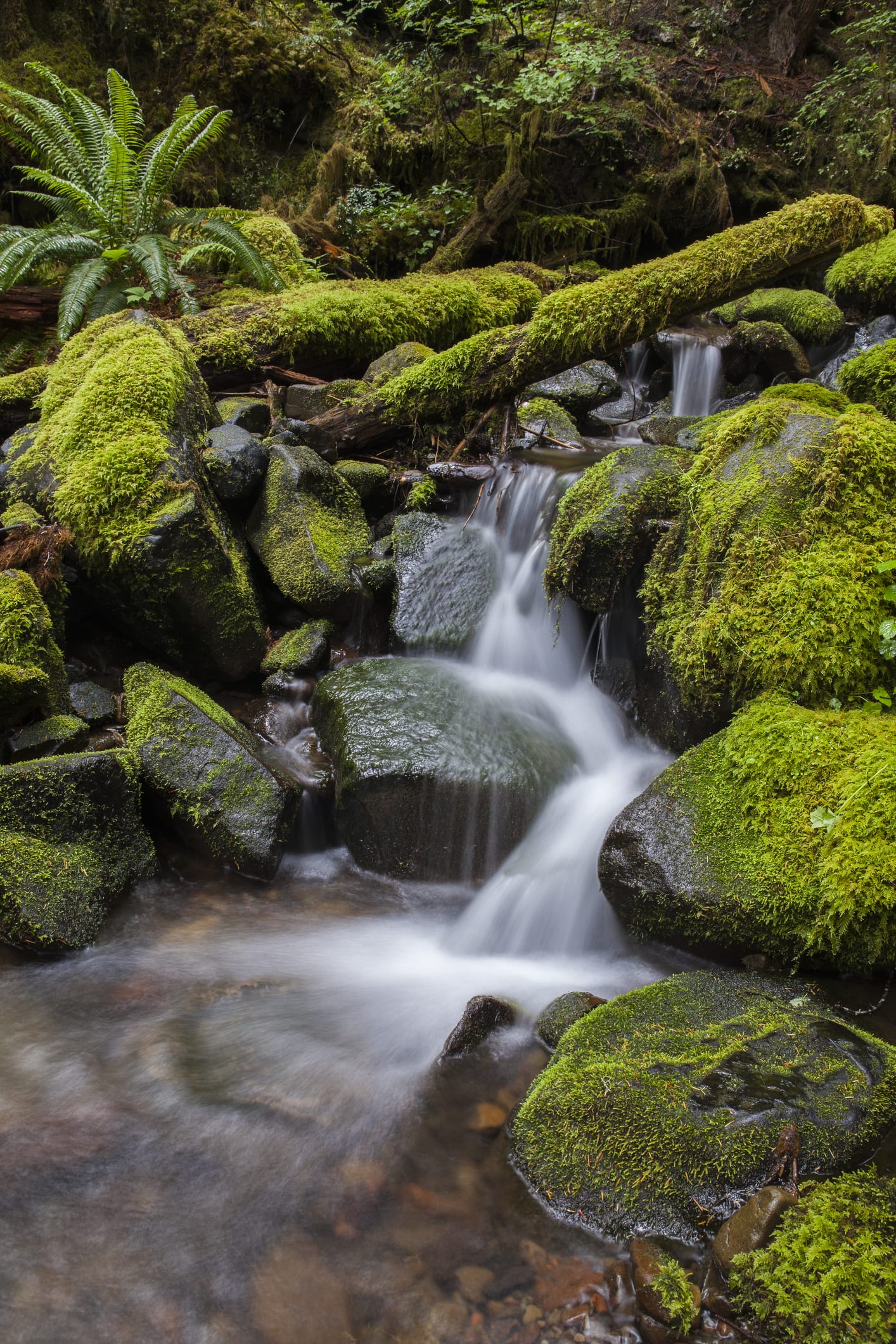 น้ำตกถ้ำพระ สุด Unseen Thailand จังหวัดบึงกาฬ