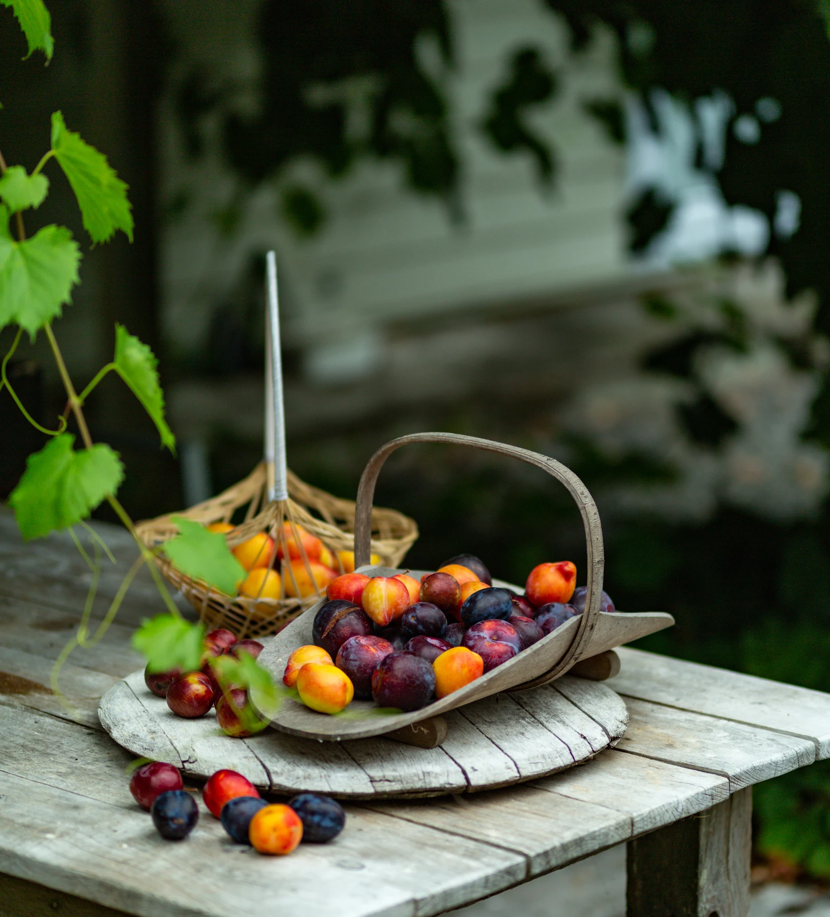 تعرف على أفضل فاكهة للحفاظ على صحة العظام