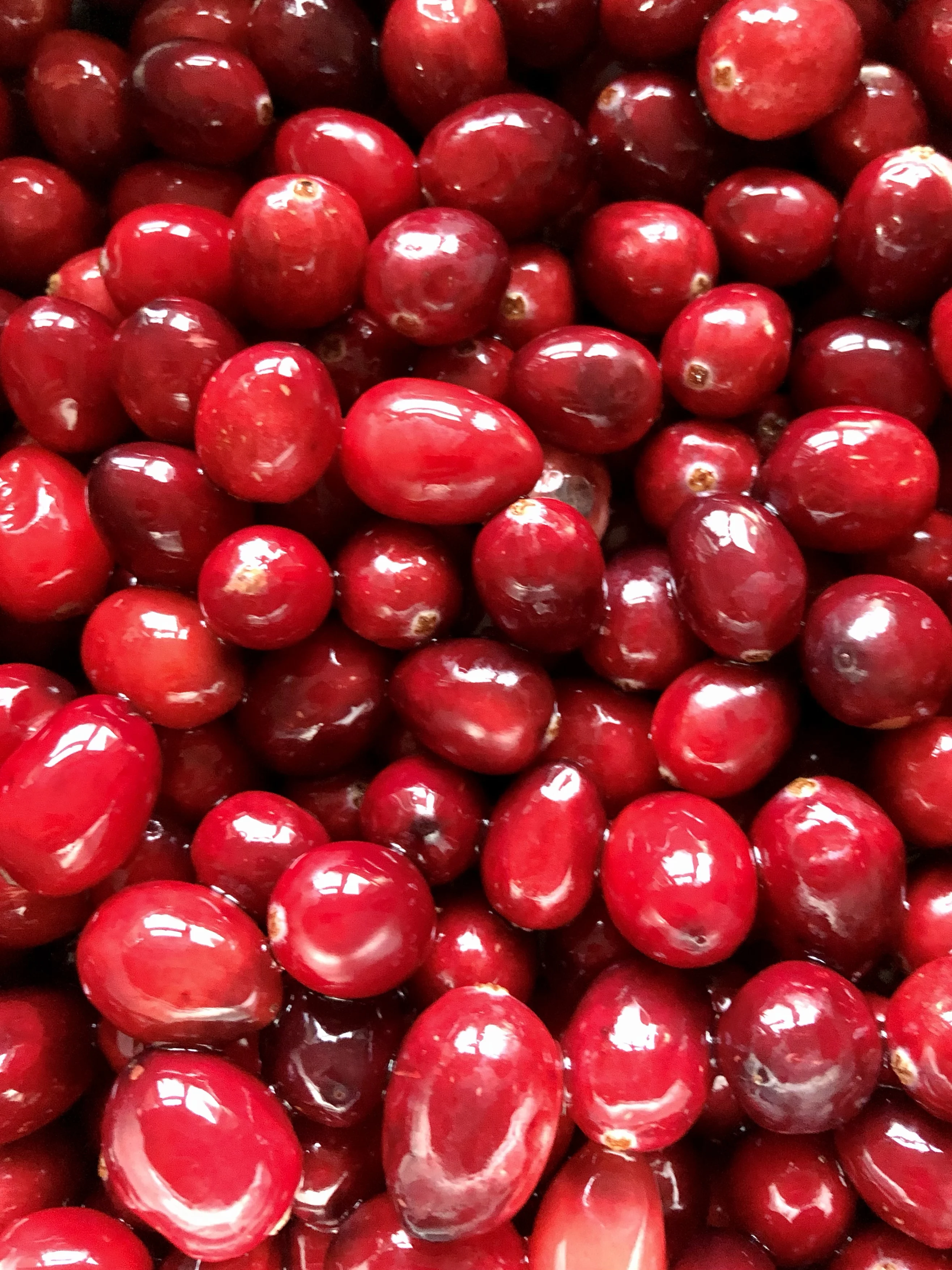 O consumo desta fruta melhora a saúde do cérebro e diminui o colesterol