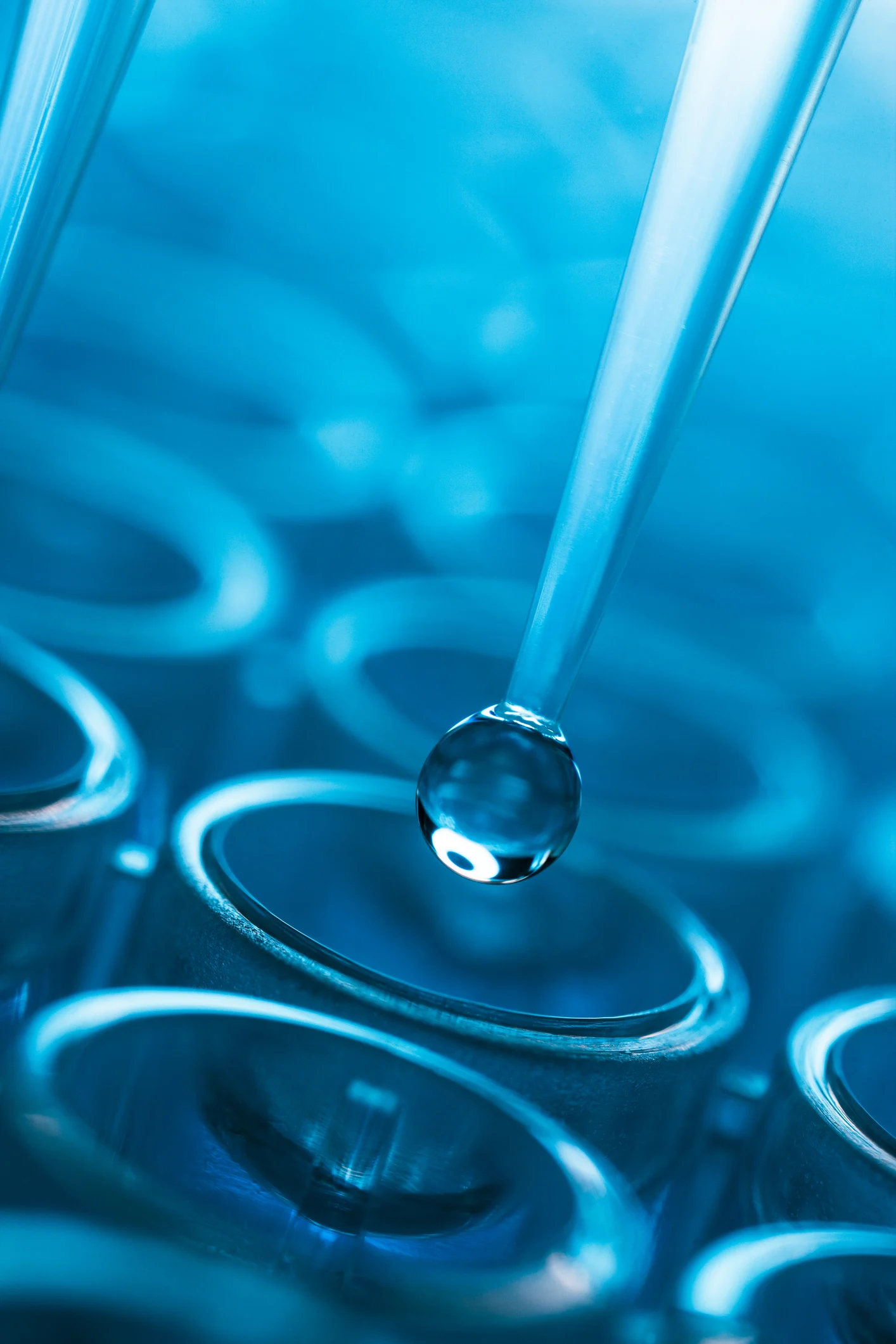 Scoperte nuove cellule nel corpo umano: cosa sono e a che servono le RASC