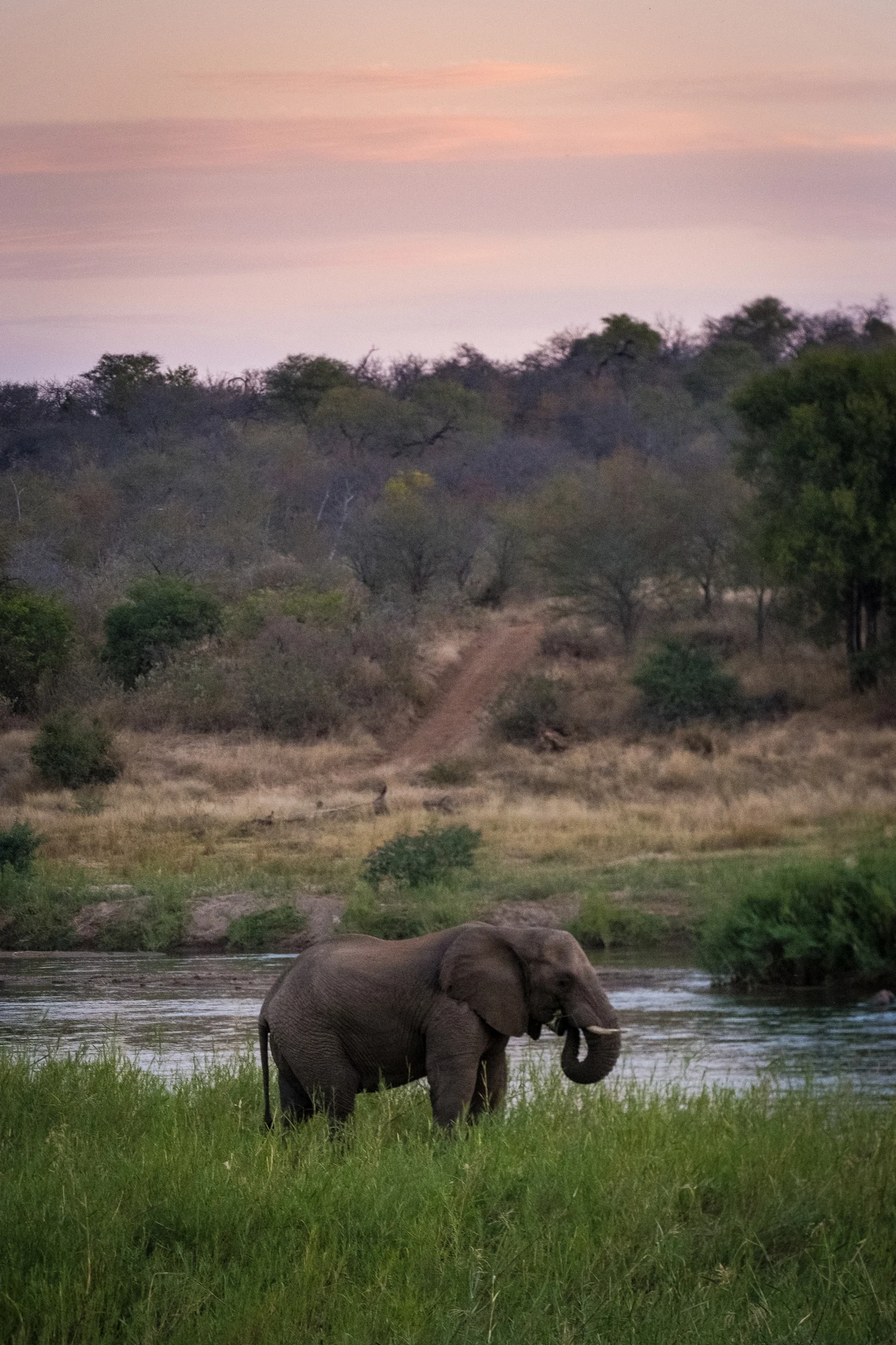 ช้างไถนา เชียงดาว กระตุ้นการท่องเที่ยว สานต่อวิถีทำนาแบบชาวกะเหรี่ยง