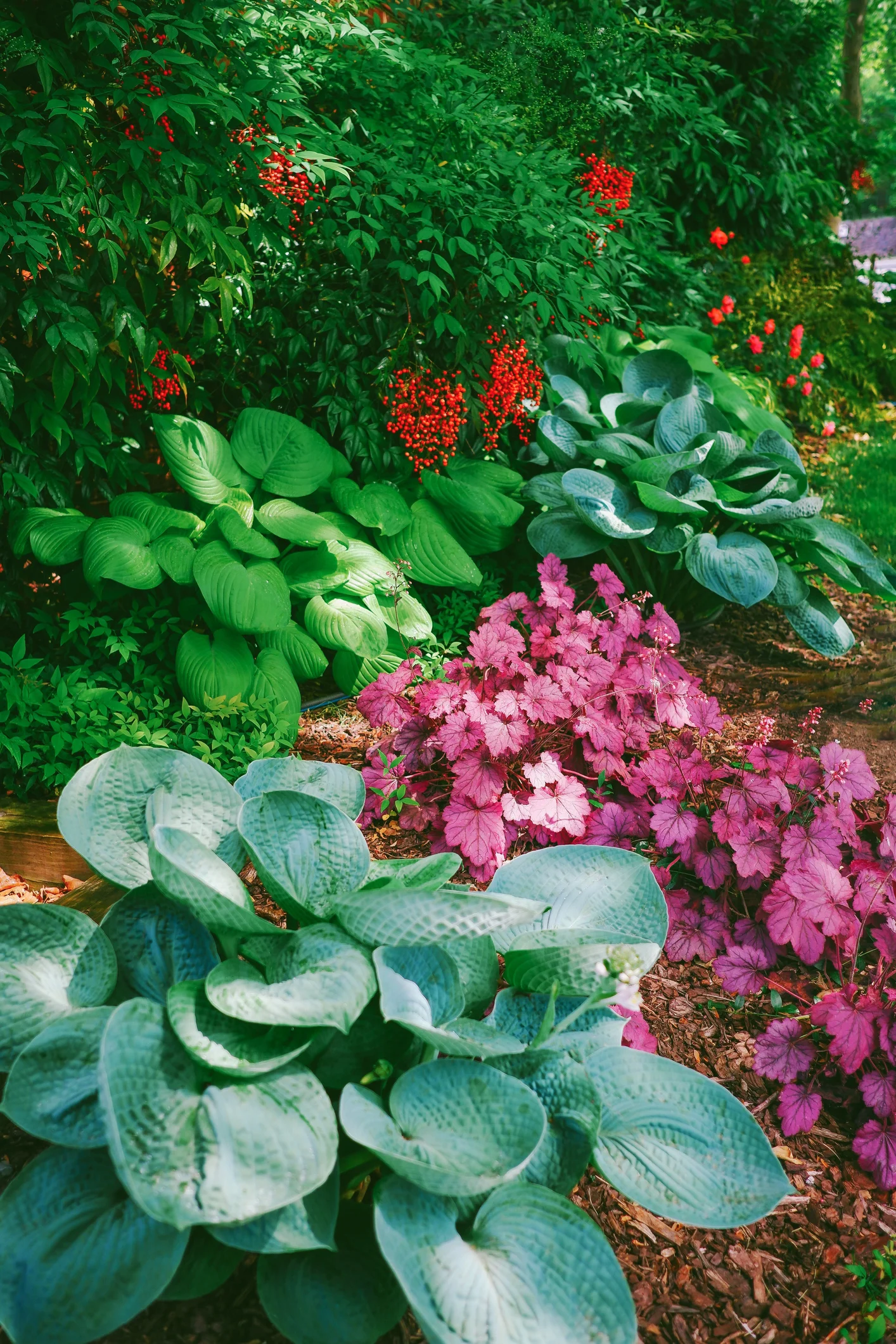 13 Best Shade Perennials That Won't Take Over Your Garden