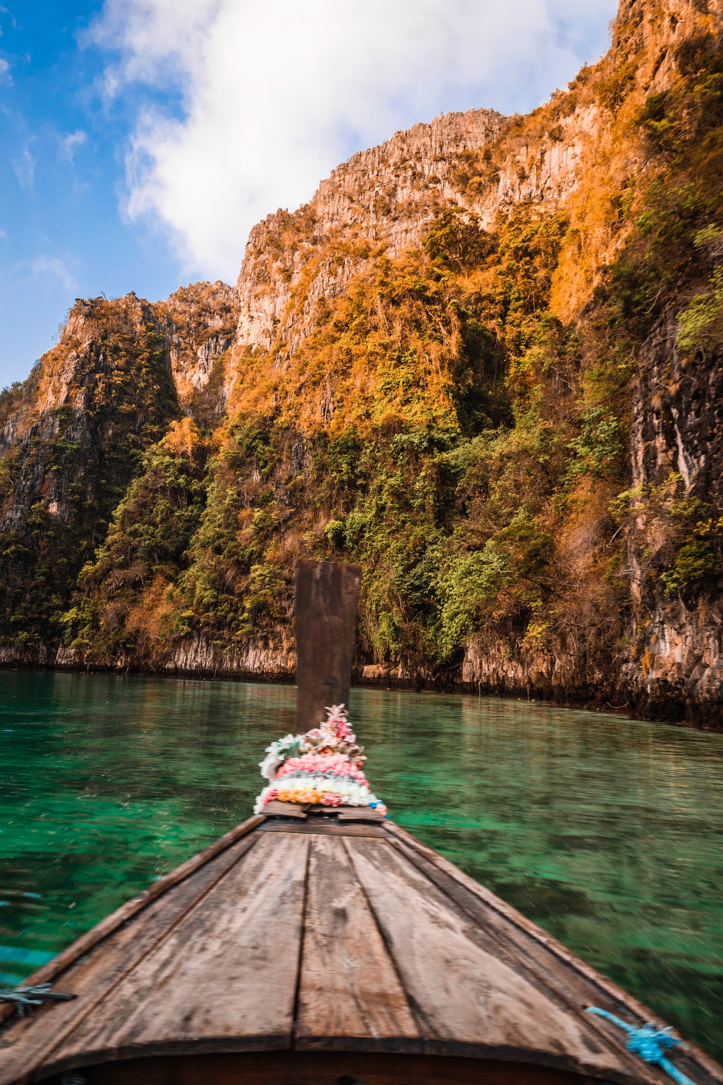 Thailandia. Niente turisti, e poco rumore. Le tartarughe sono tornate a Phuket. Ma non durerà